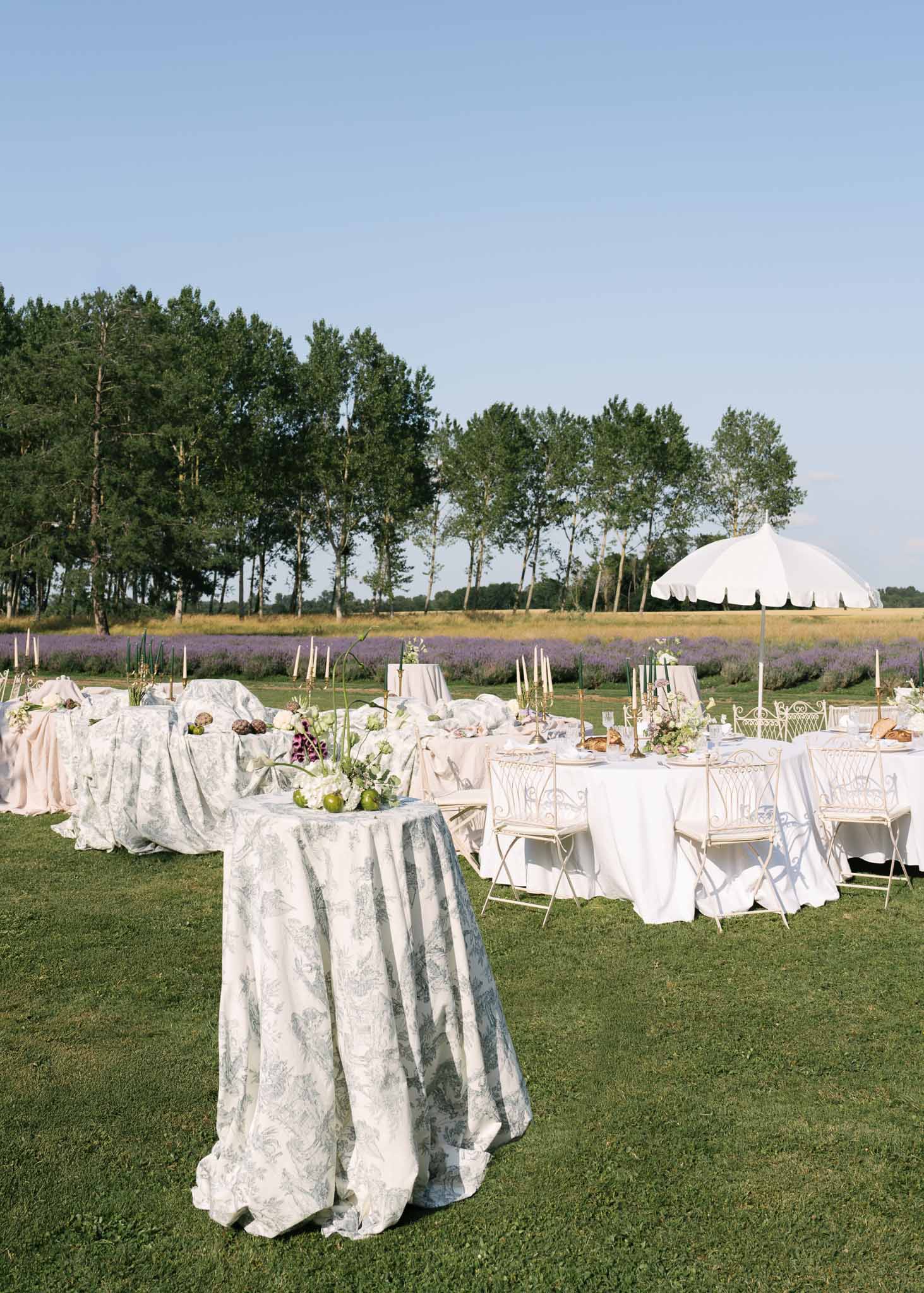 Reception tables with toile de Jouy fabric, brass candelabras, and artichoke accents by lavender fields