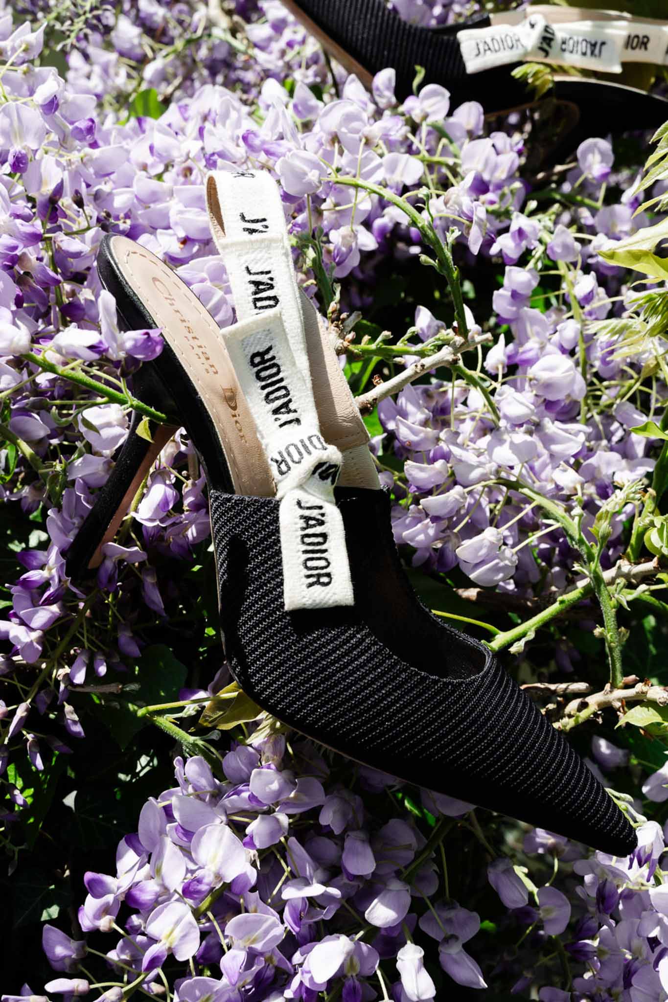 Christian Dior J'Adior black slingback heels styled among purple wisteria blooms