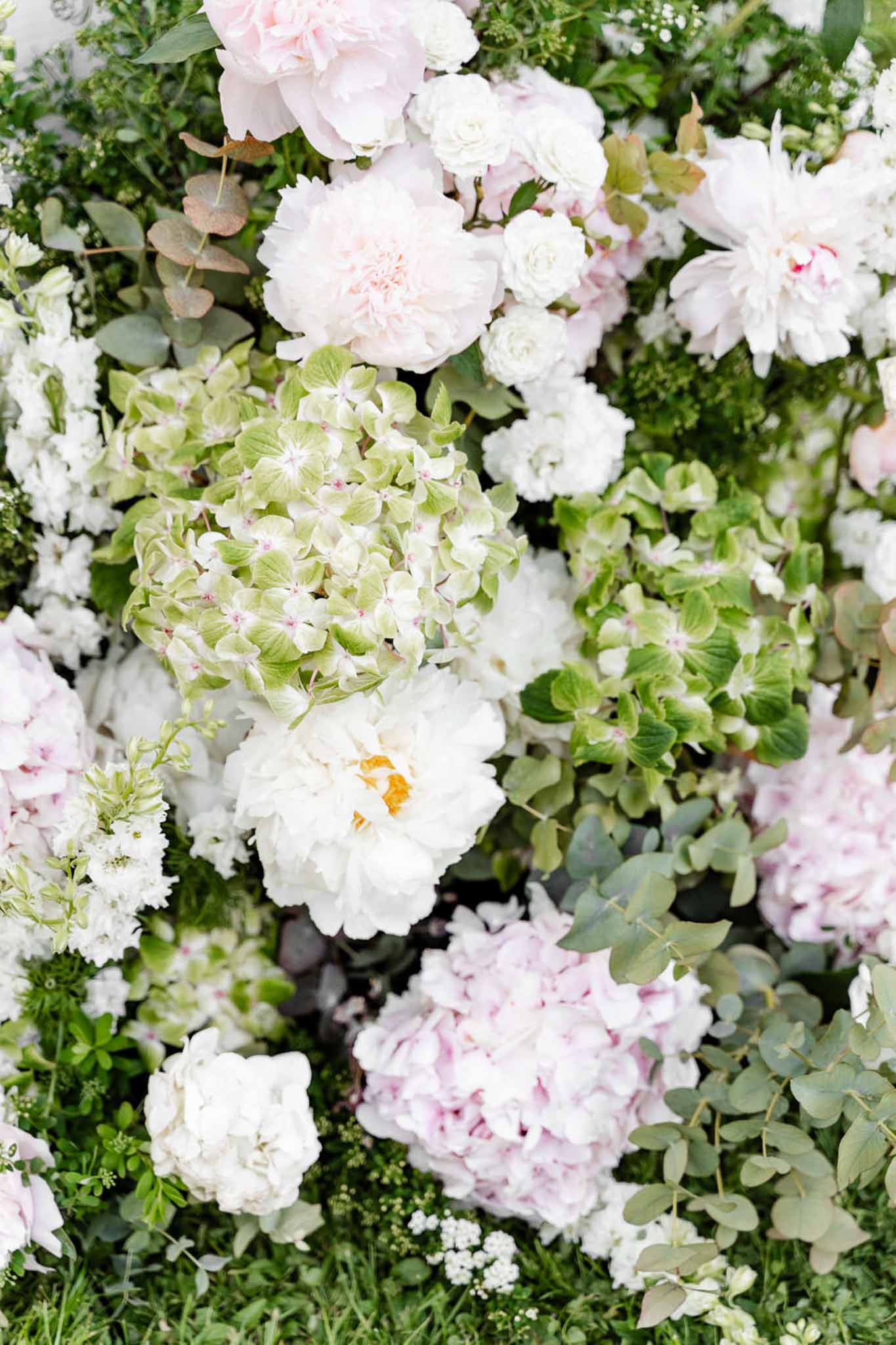 Close-up of dense floral installation with blush peonies, green hydrangeas, white stock, and eucalyptus
