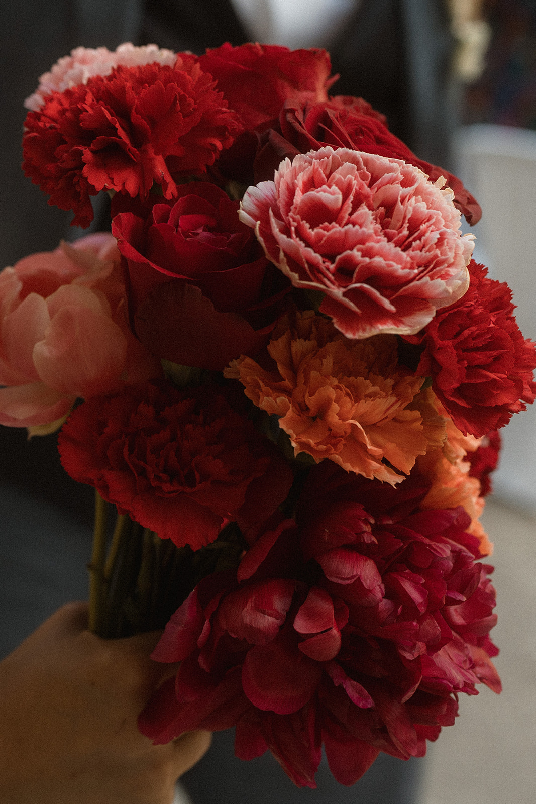 Alexia Linn portfolio 34