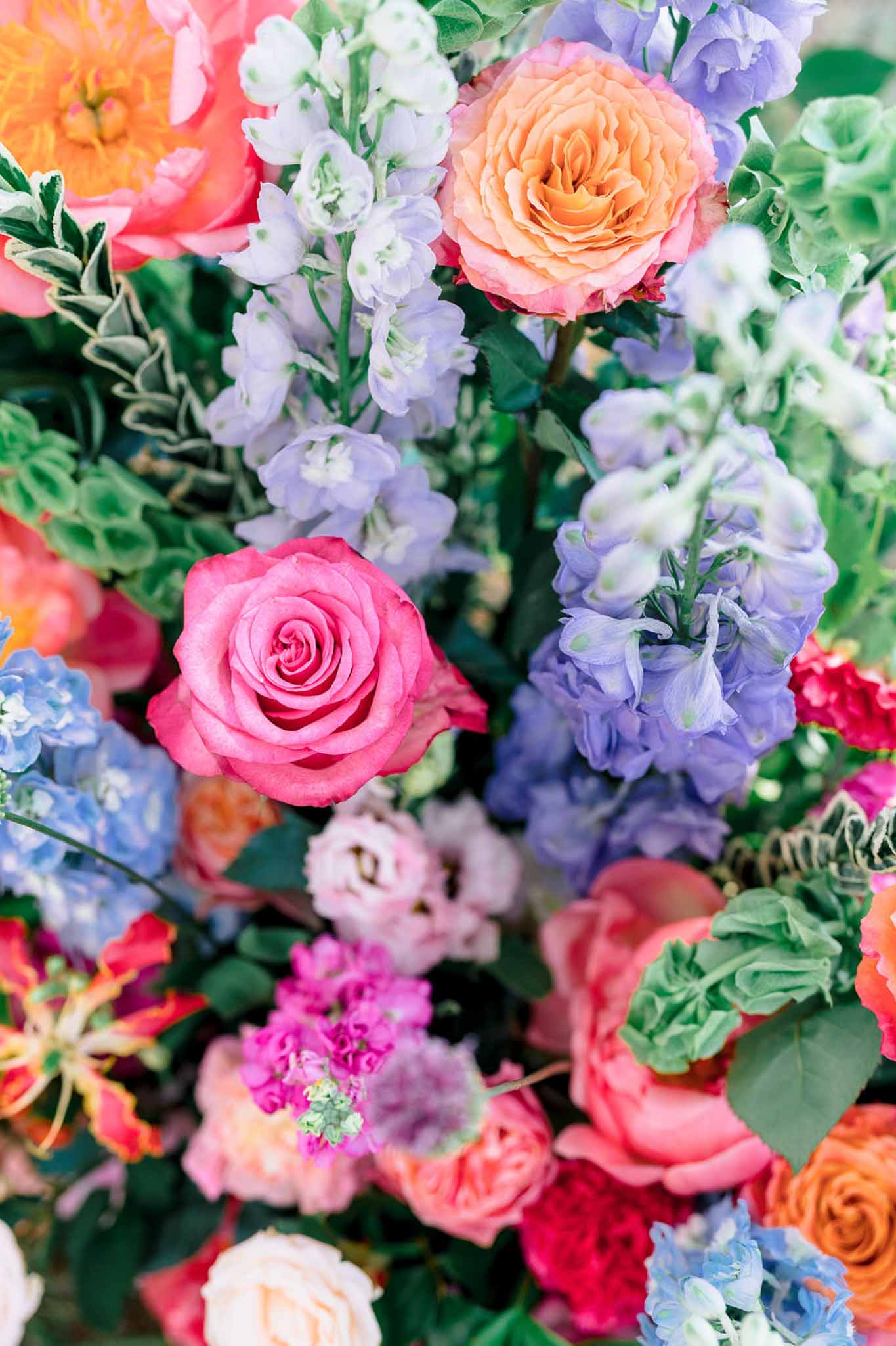 Maximalist close-up of hot pink roses, blue hydrangeas, coral roses, and lavender delphiniums packed dense