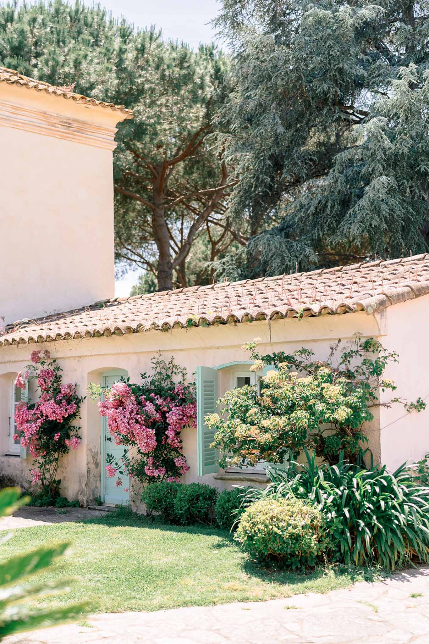 Provencal outbuilding with cream walls, mint shutters, and cascading hot pink climbing roses