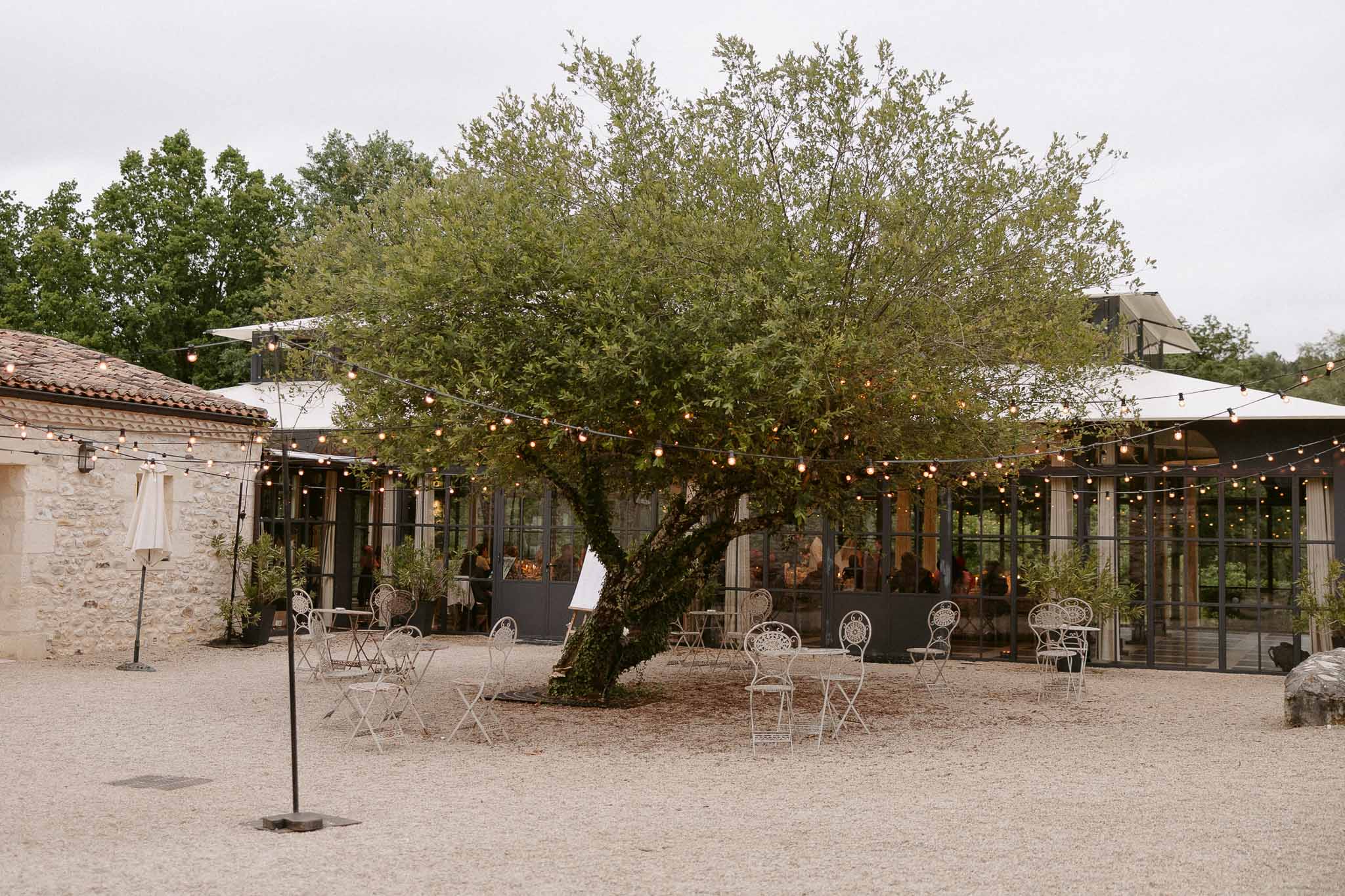 Evening courtyard with festoon lights mature tree and modern glass orangerie pavilion