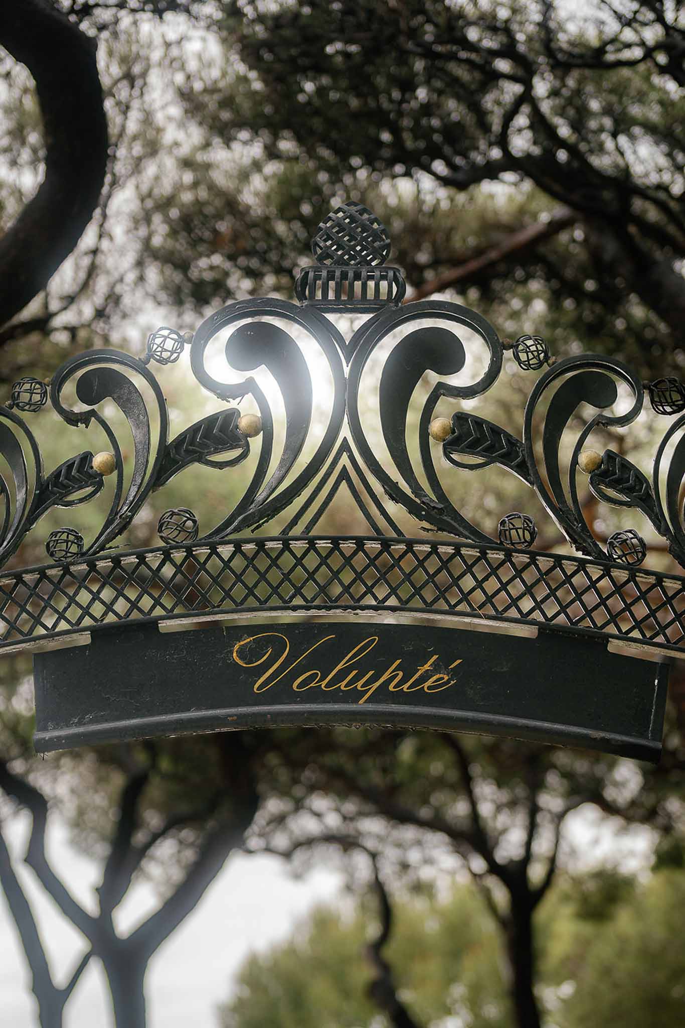 Ornate wrought iron gate arch with gold Volupte script, scrollwork, and leaf motifs against tree canopy