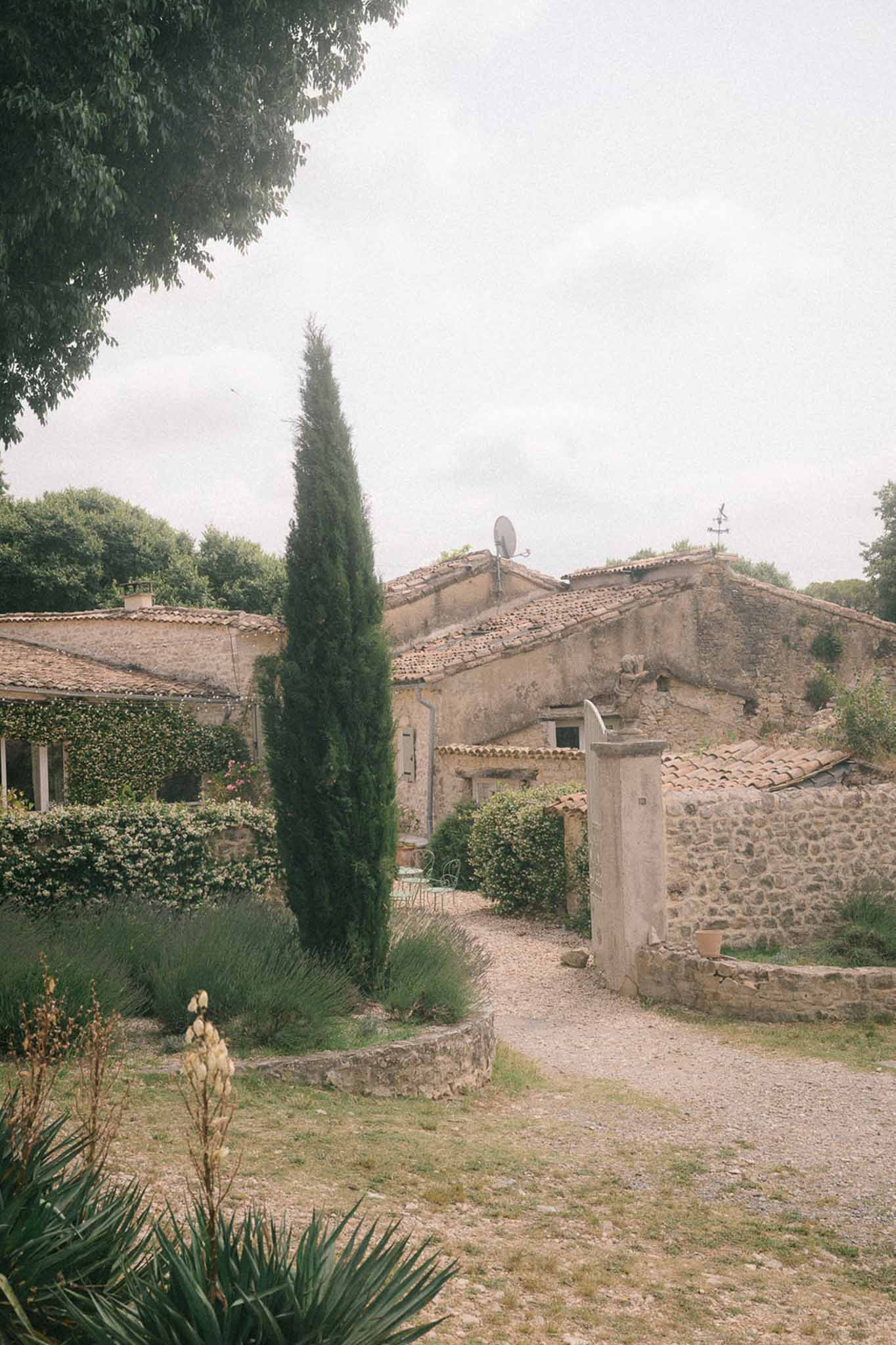 Rustic honey-stone mas with terracotta roof cypress tree lavender agave and gravel courtyard on overcast day