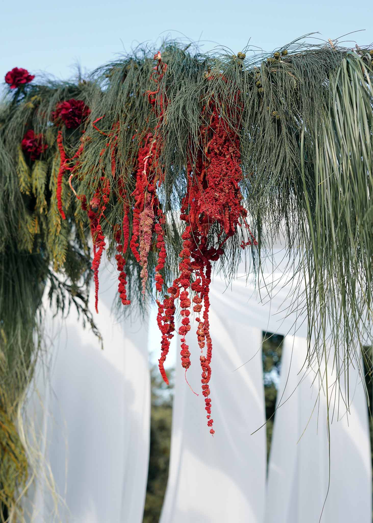 Ceremony arch with trailing deep red amaranthus, burgundy celosia, and dark green needle foliage