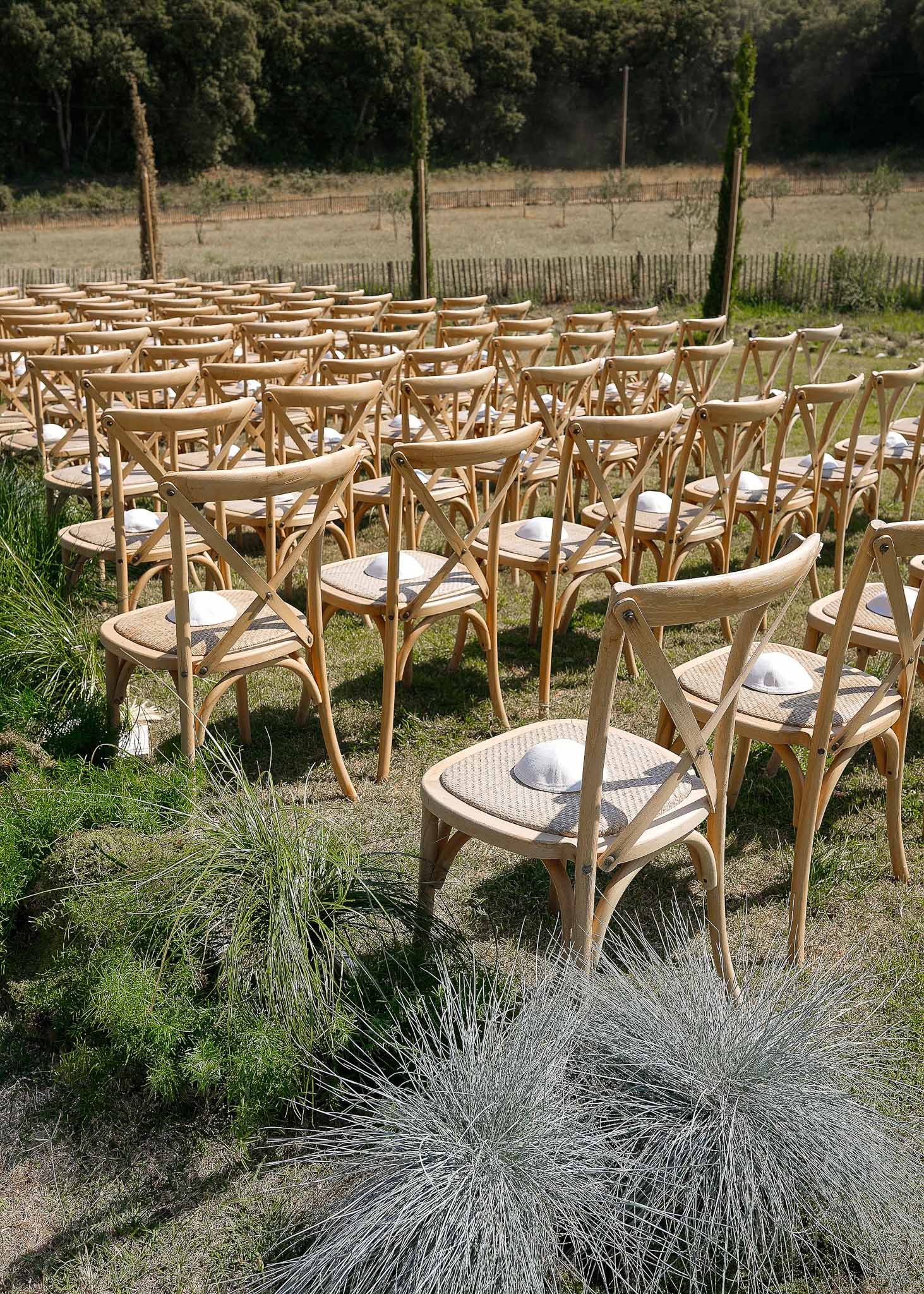 Pre-ceremony setup of 60 crossback chairs in rows on grass with tree backdrop