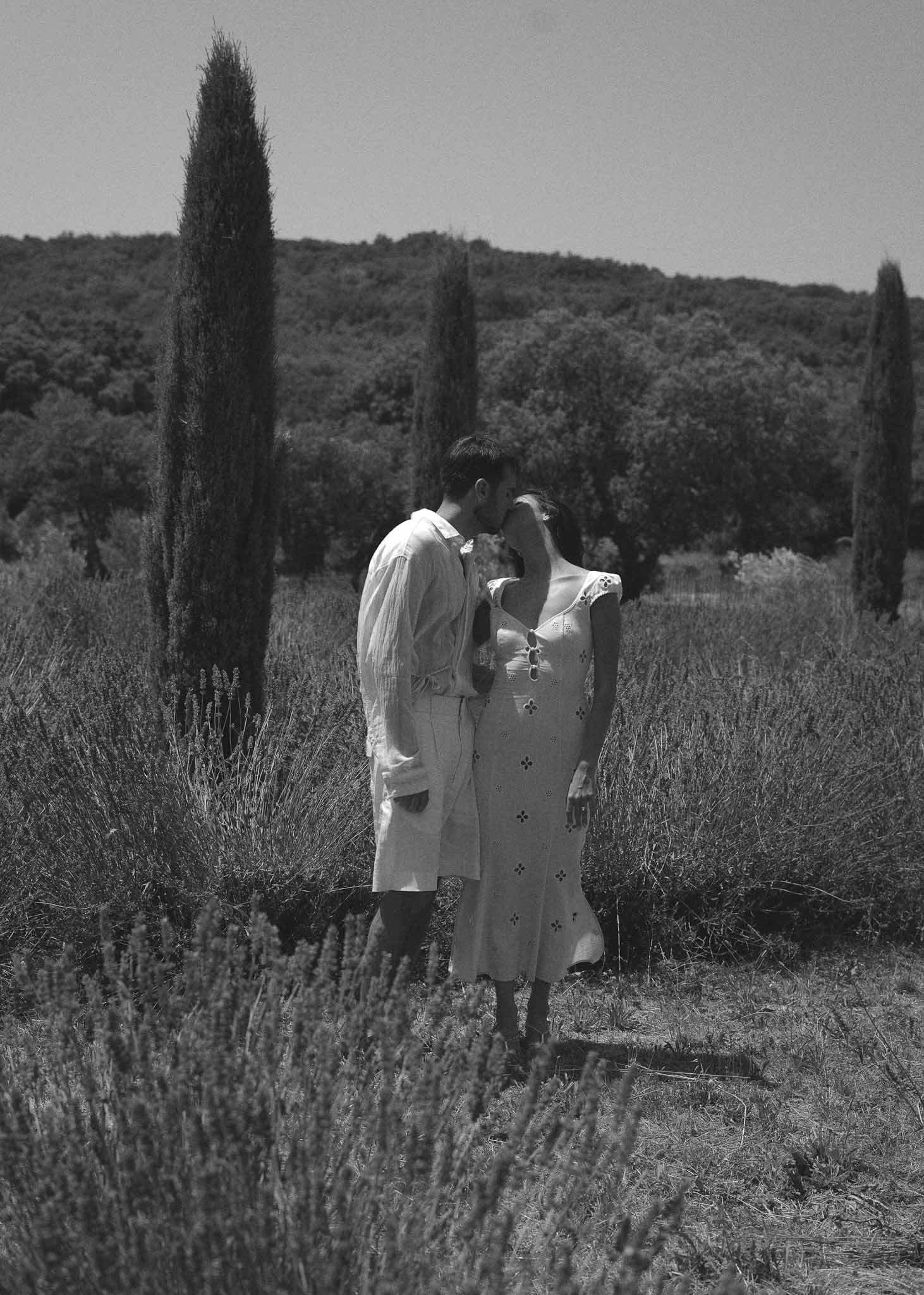 Black-and-white portrait of couple kissing in lavender field with cypress trees in Provencal countryside