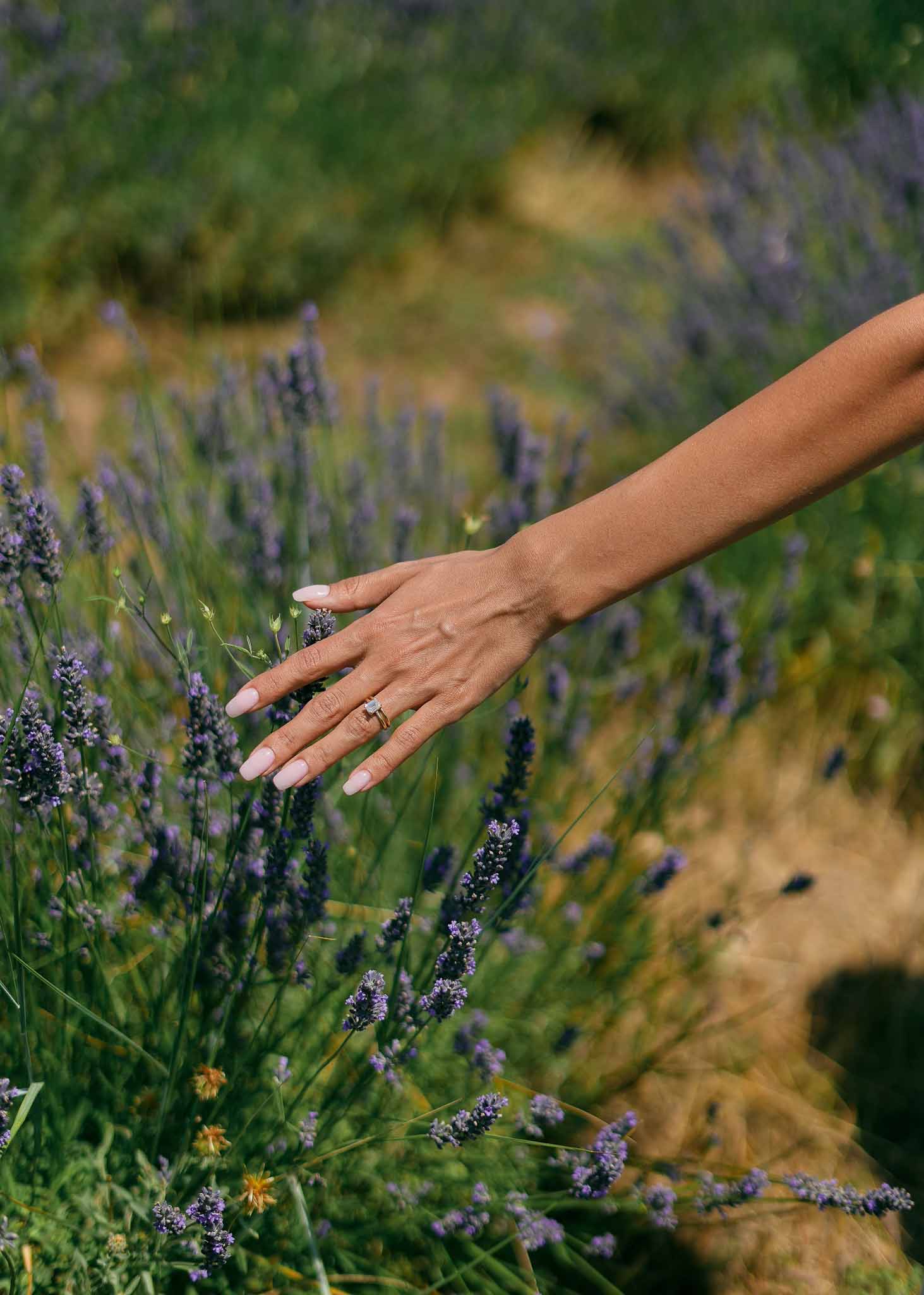 Bride's hand with square-cut diamond ring brushing lavender blooms in soft-focus field