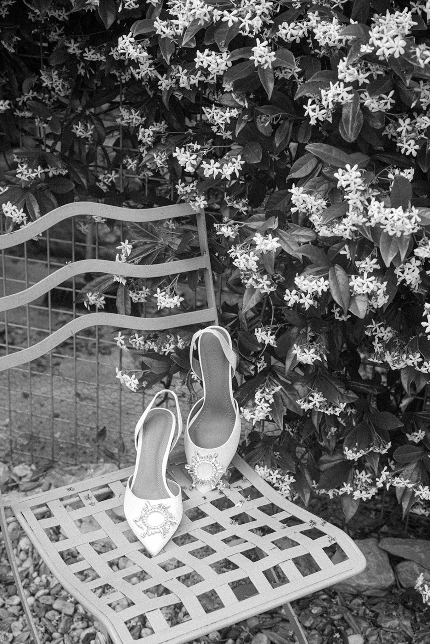 Black-and-white detail shot of jewelled bridal slingback heels on a metal garden chair beside flowering climbing shrub