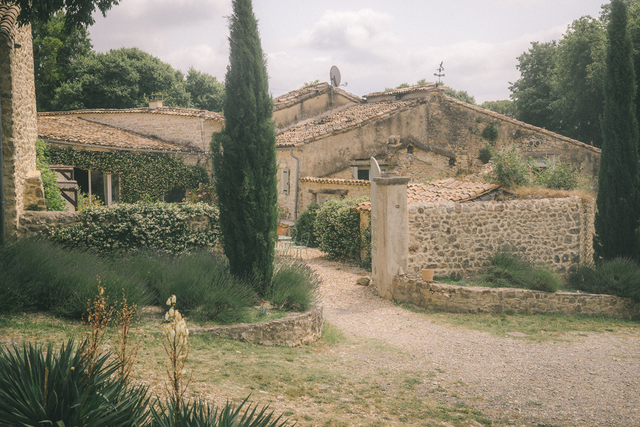 Provencal stone mas with terracotta roof tiles, cypress trees, and lavender-bordered gravel entrance