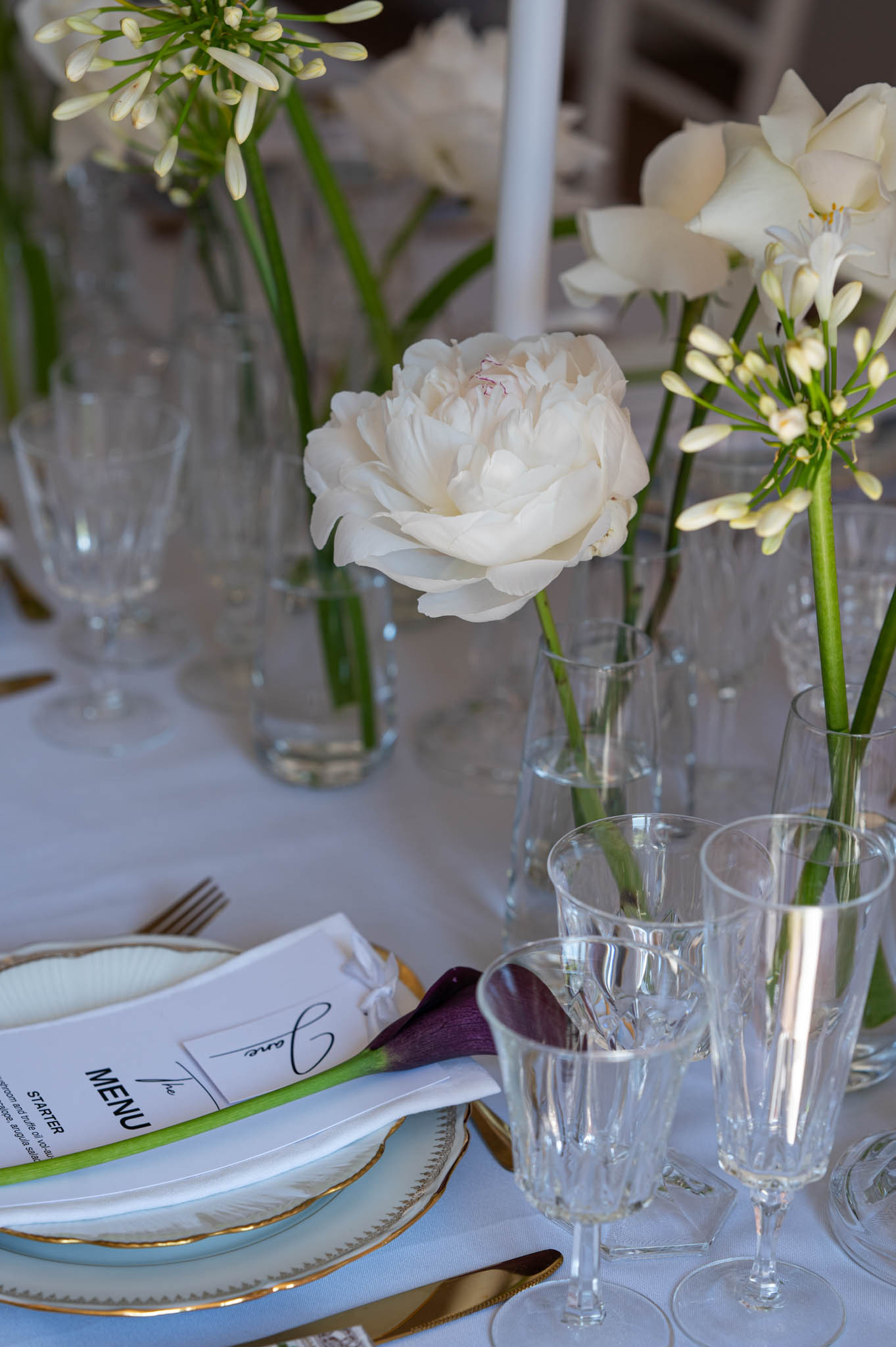 Margot Solange Jacky portfolio 14