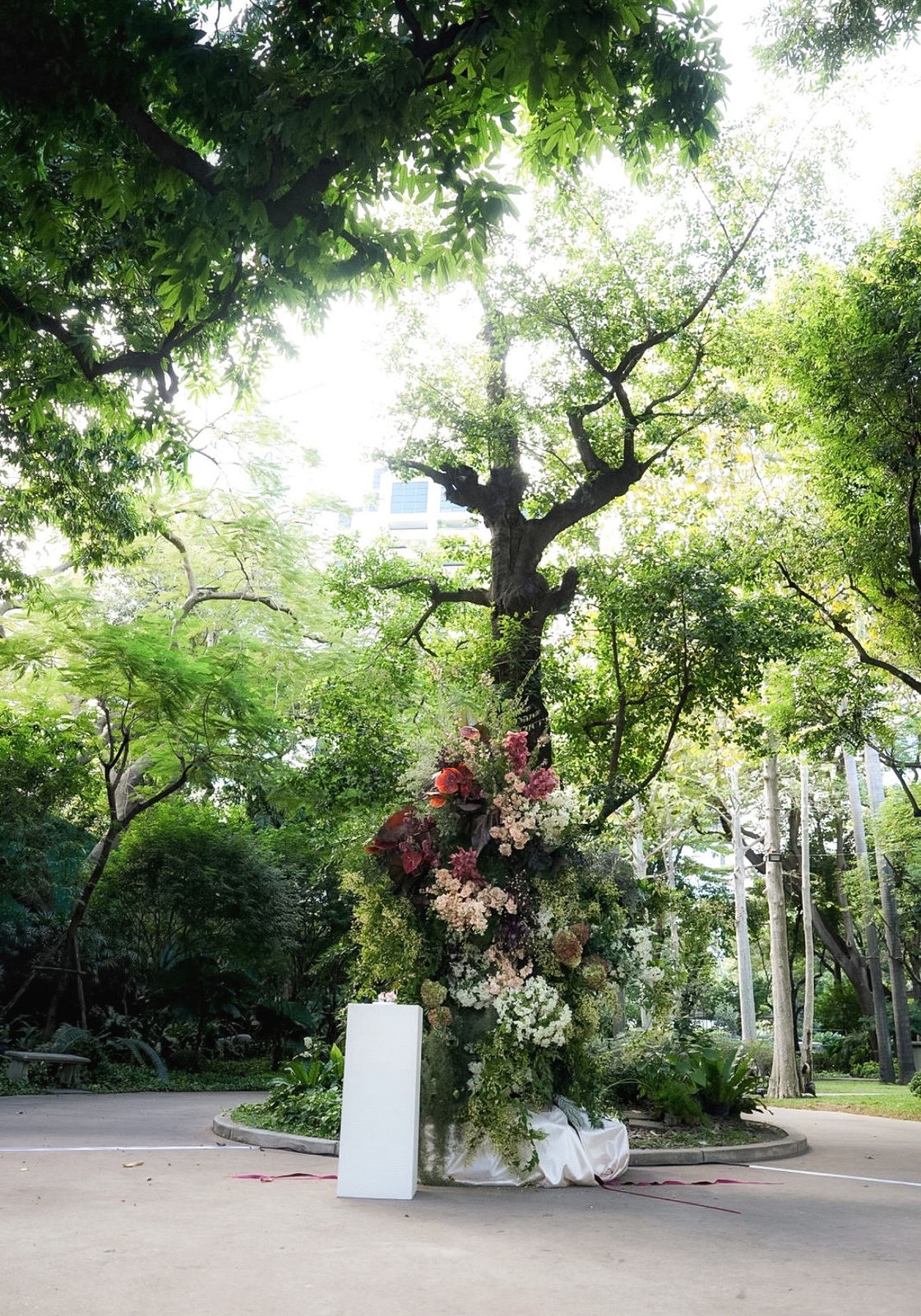 Vera Schulz portfolio 42