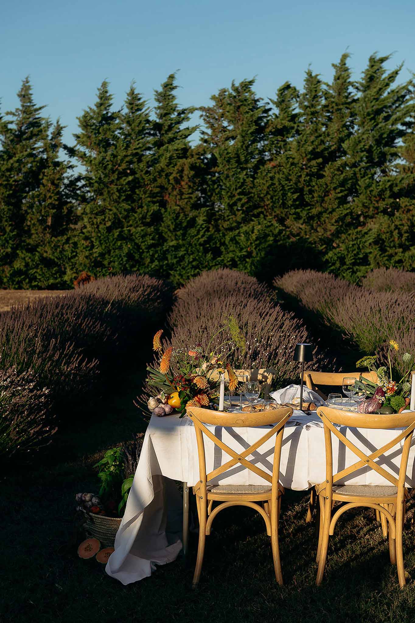 Reception tablescape at golden hour with wooden chairs in the garden, Bastide des Barattes Provence