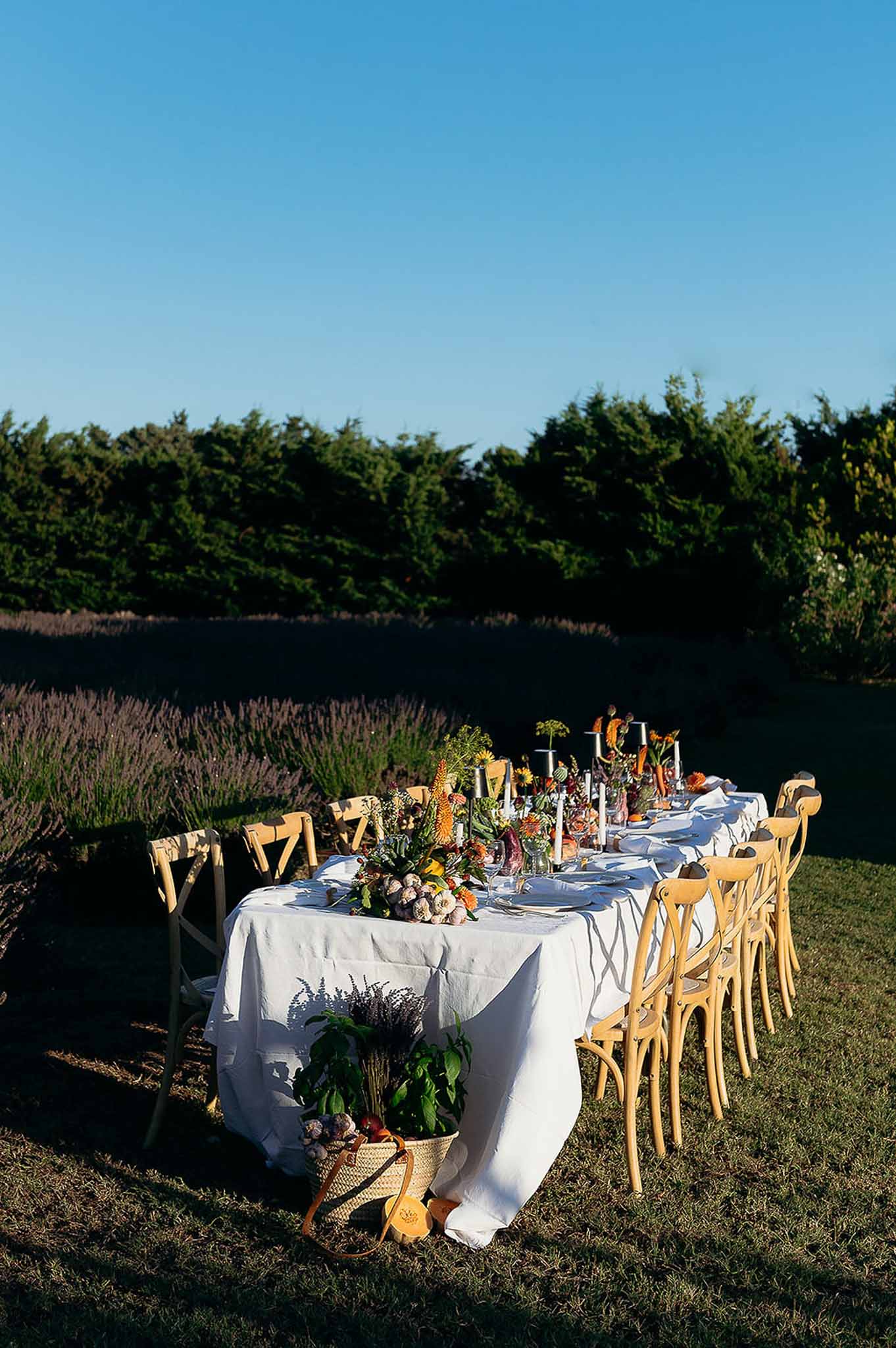 Wide view of market tablescape with wooden chairs in garden field at golden hour, Bastide des Barattes