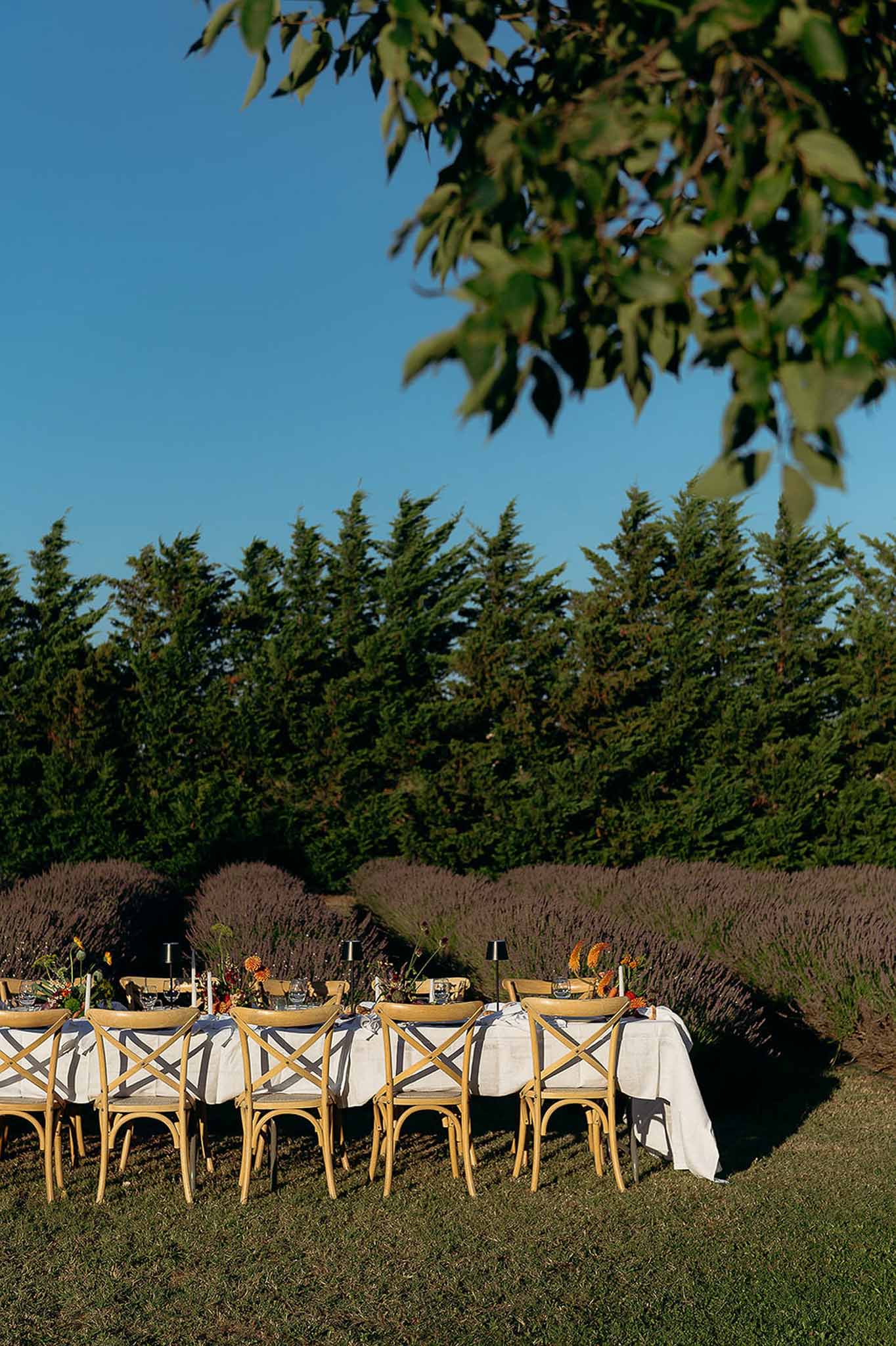 Elegant tablescape with wooden chairs at golden hour, Bastide des Barattes garden wedding styling
