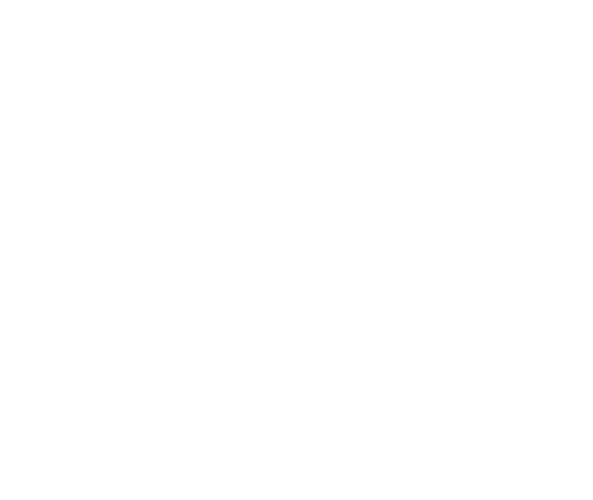 Mademoiselle Events portfolio 40