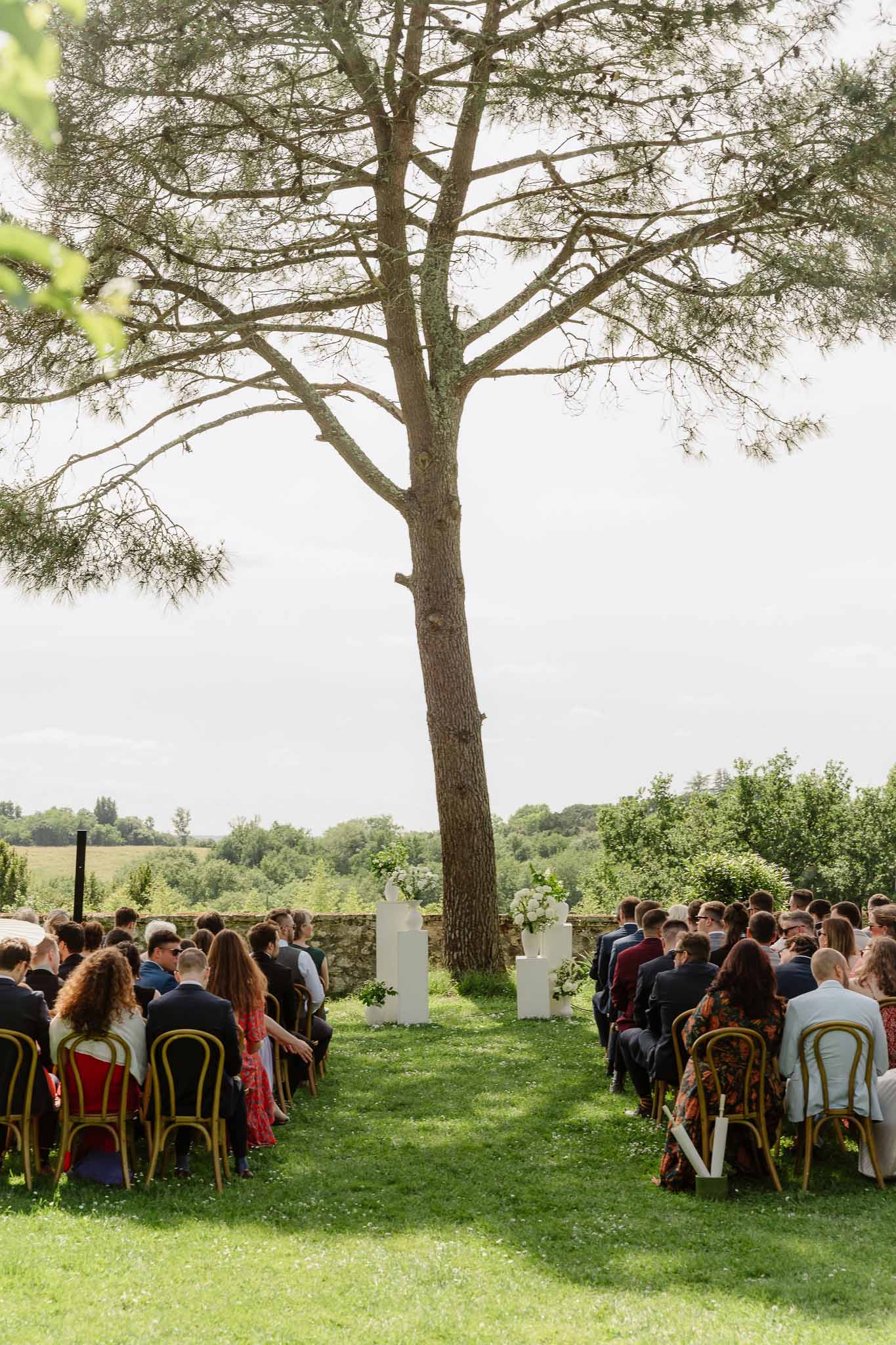 Sixty guests on gold bentwood chairs with white pedestal floral columns and pine tree altar on countryside lawn