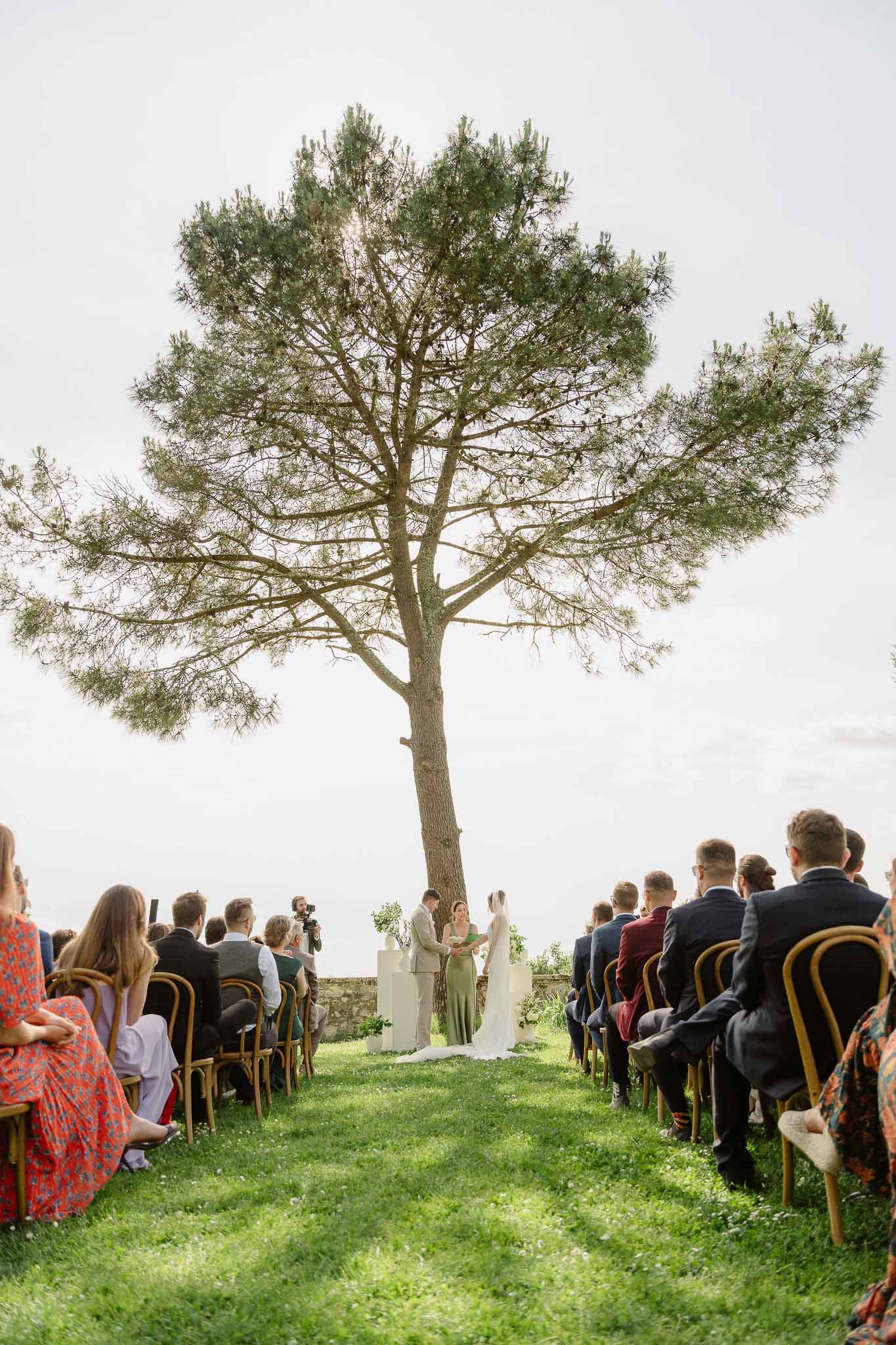 Couple exchanges vows under Mediterranean pine as 45 guests sit in bentwood chairs on elevated lawn