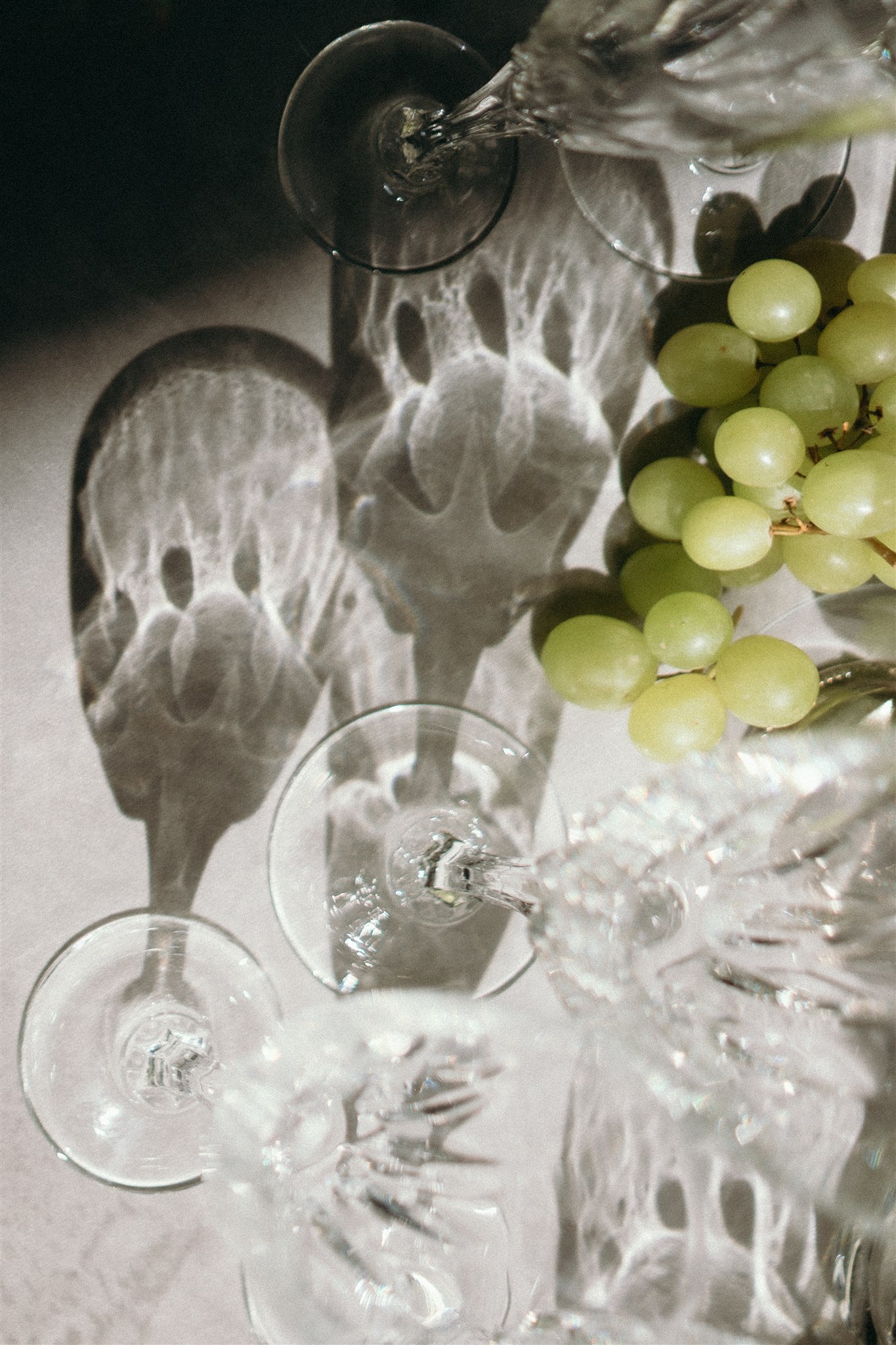 Julia Garcia portfolio 50