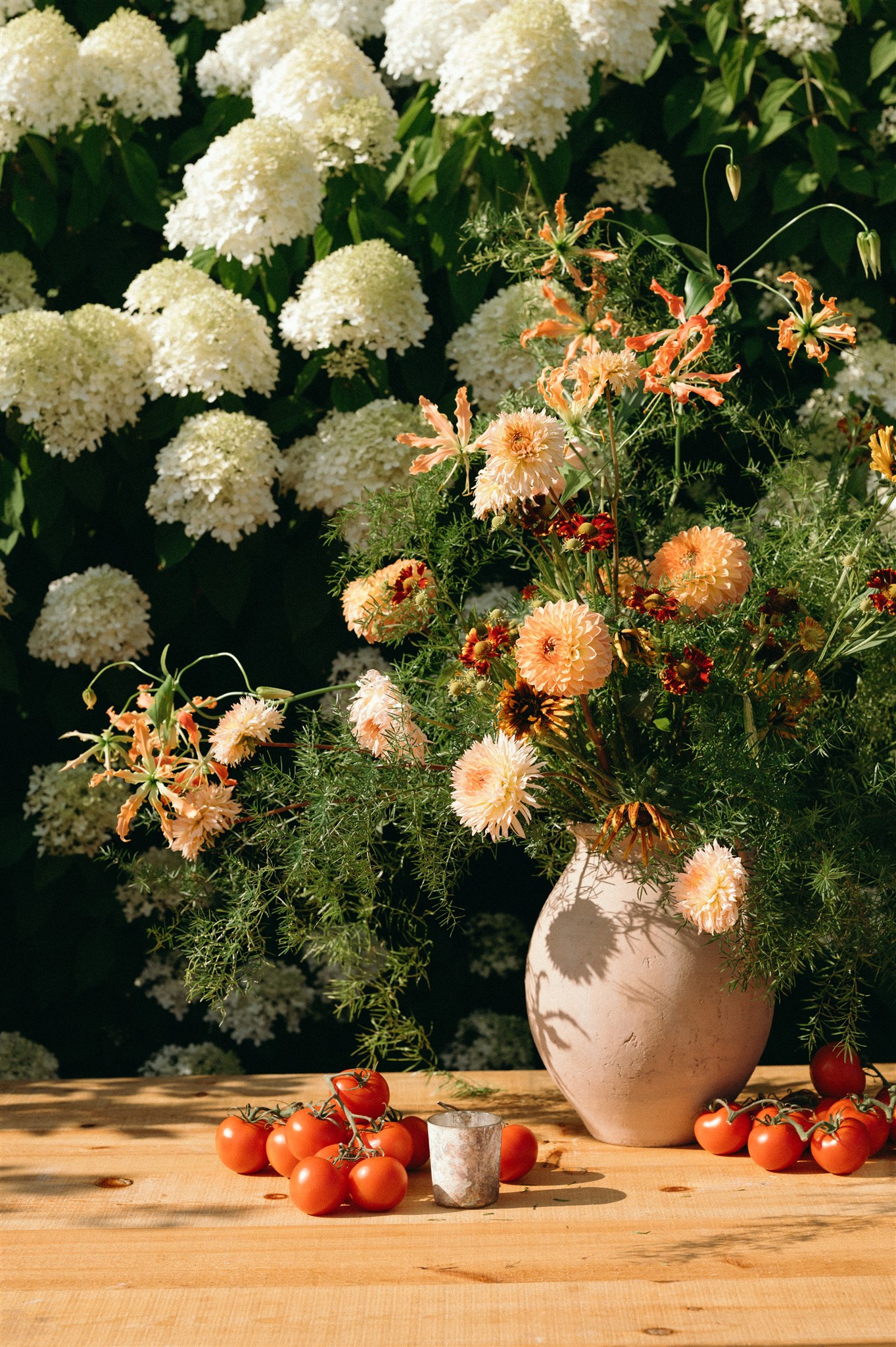 Julia Garcia portfolio 59