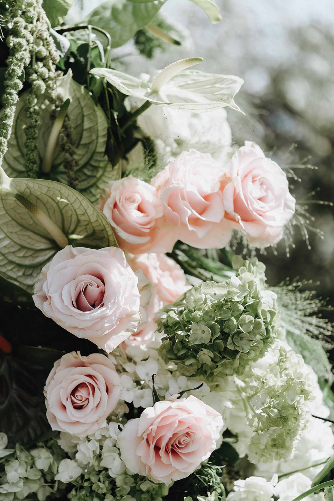 Close-up of blush garden roses with green hydrangeas, anthurium leaves, and feathery grasses in dense arch