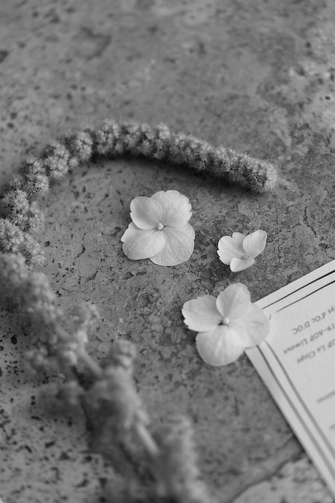Black-and-white detail of hydrangea florets, textured floral garland, and French wine menu on stone surface