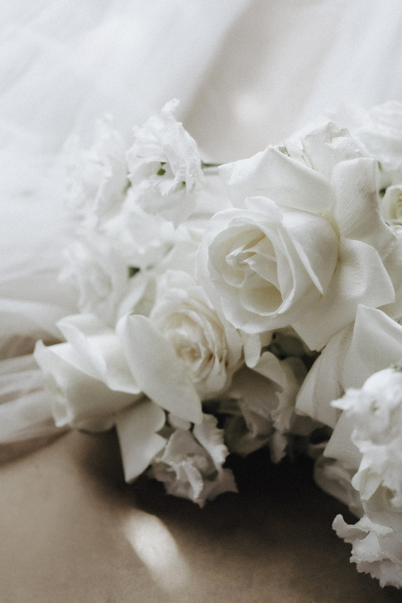 Laurene and The Wolf portfolio 27