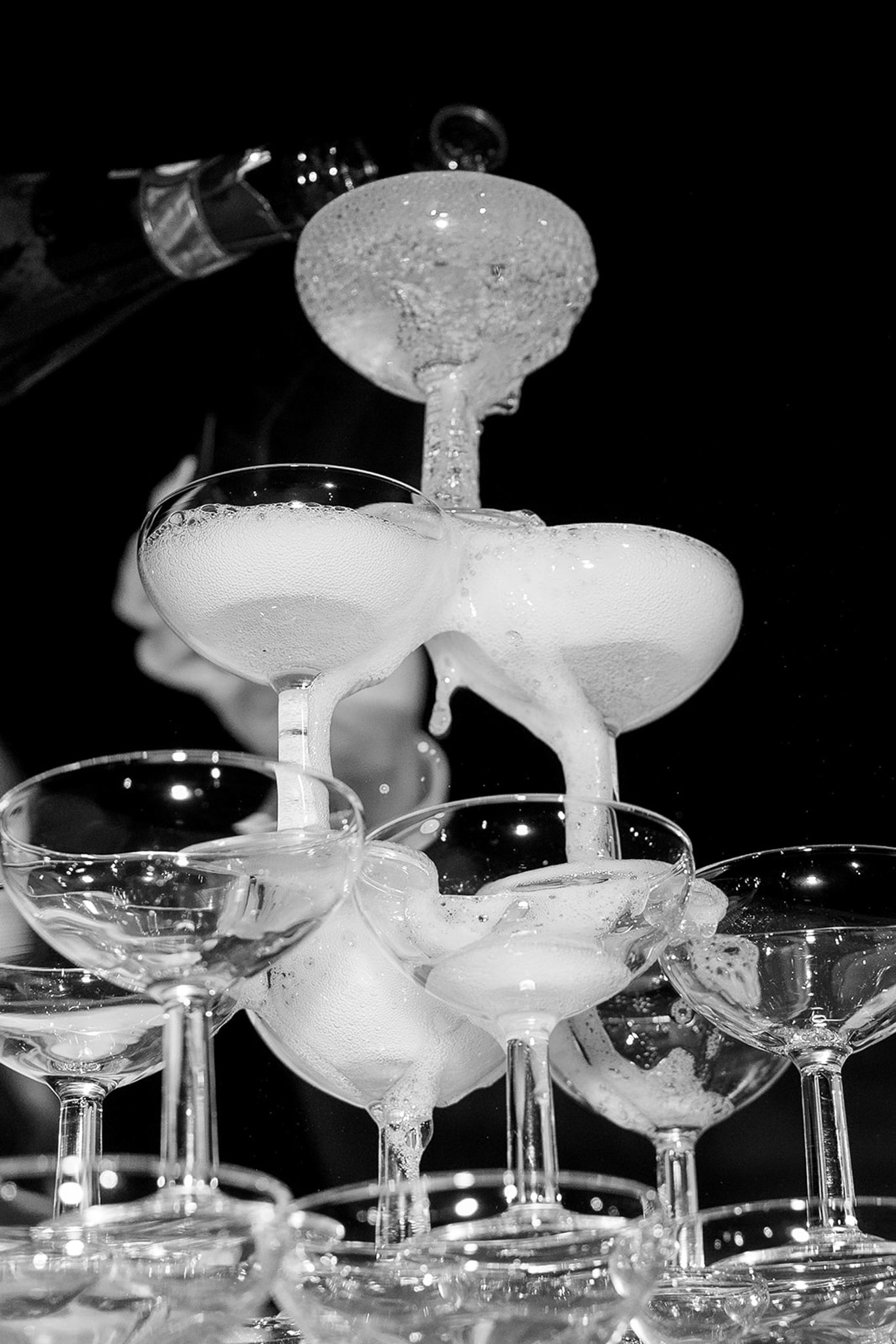 Laurene and The Wolf portfolio 13