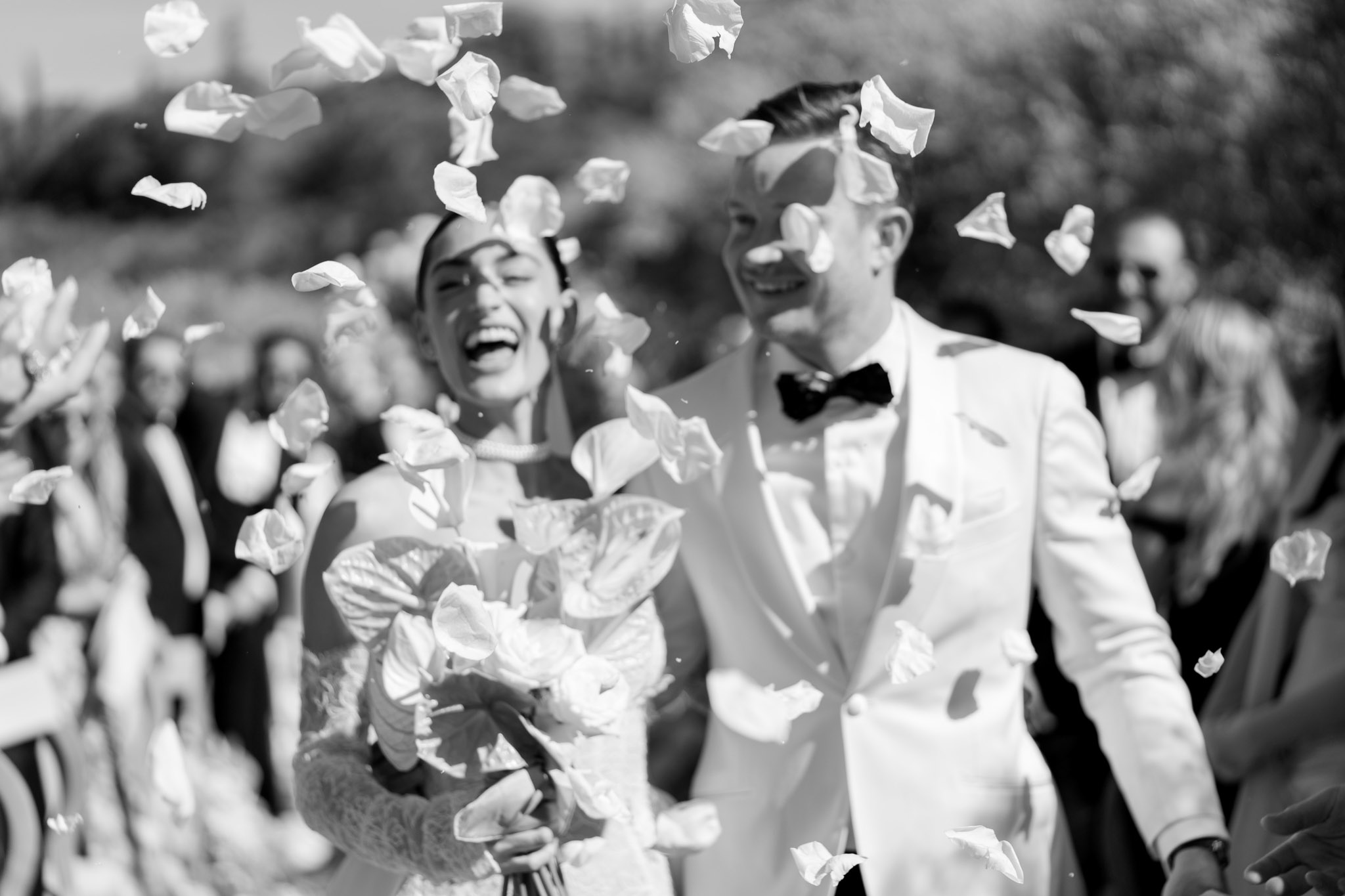 Laurene and The Wolf portfolio 40