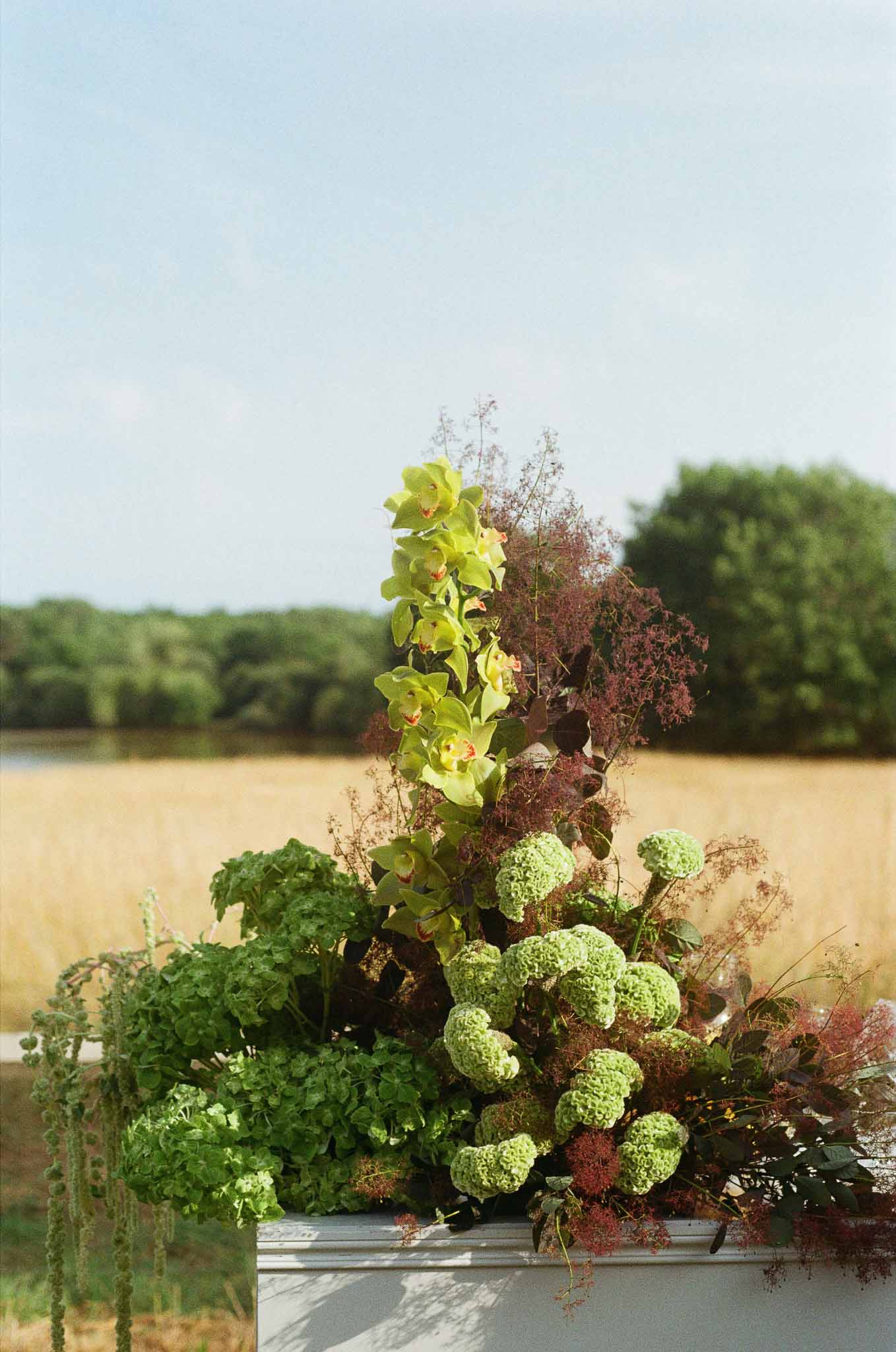 Wedding ceremony in a garden with hydrangeas