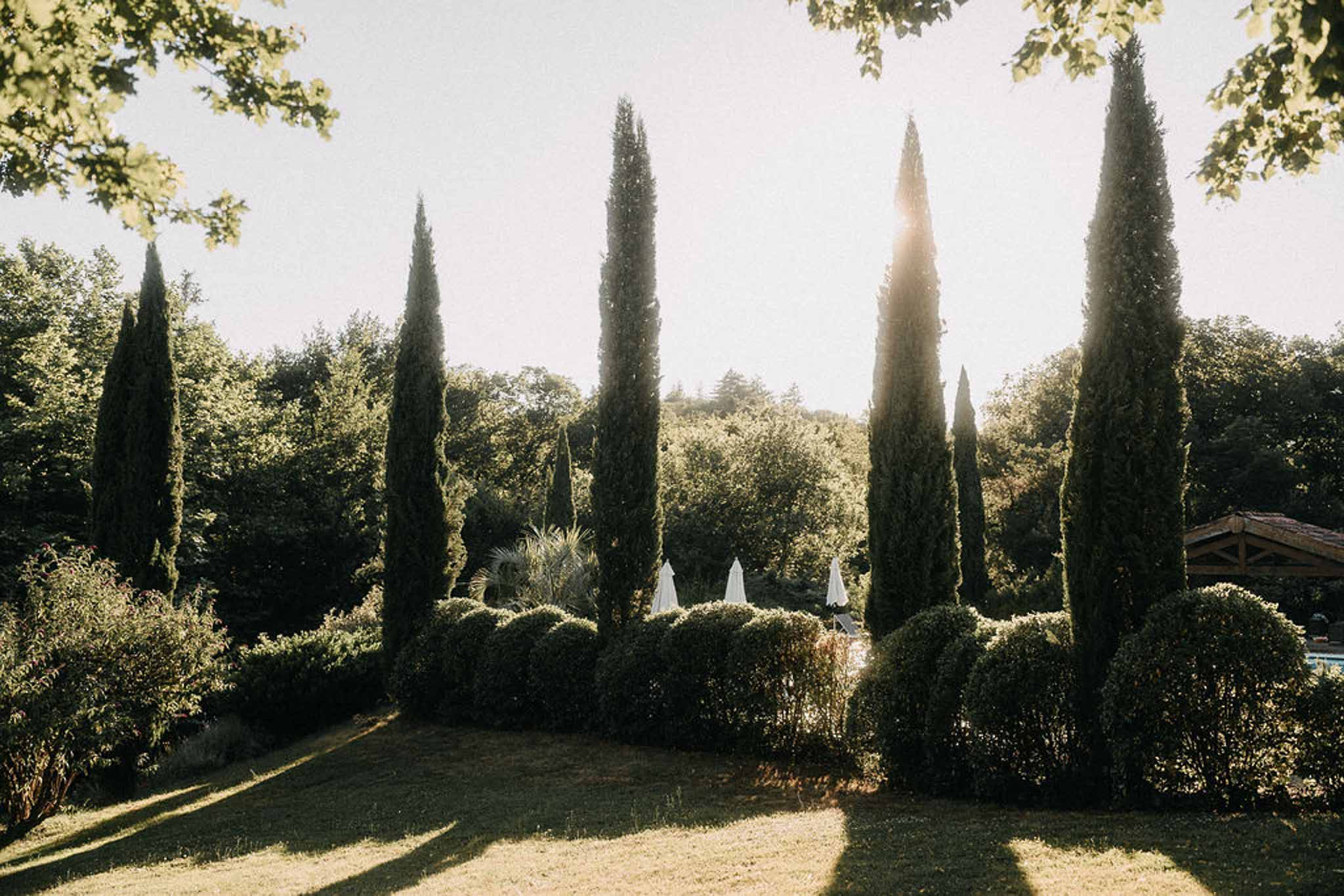 Row of cypress trees and rounded topiary with closed white parasols in warm late-afternoon venue light