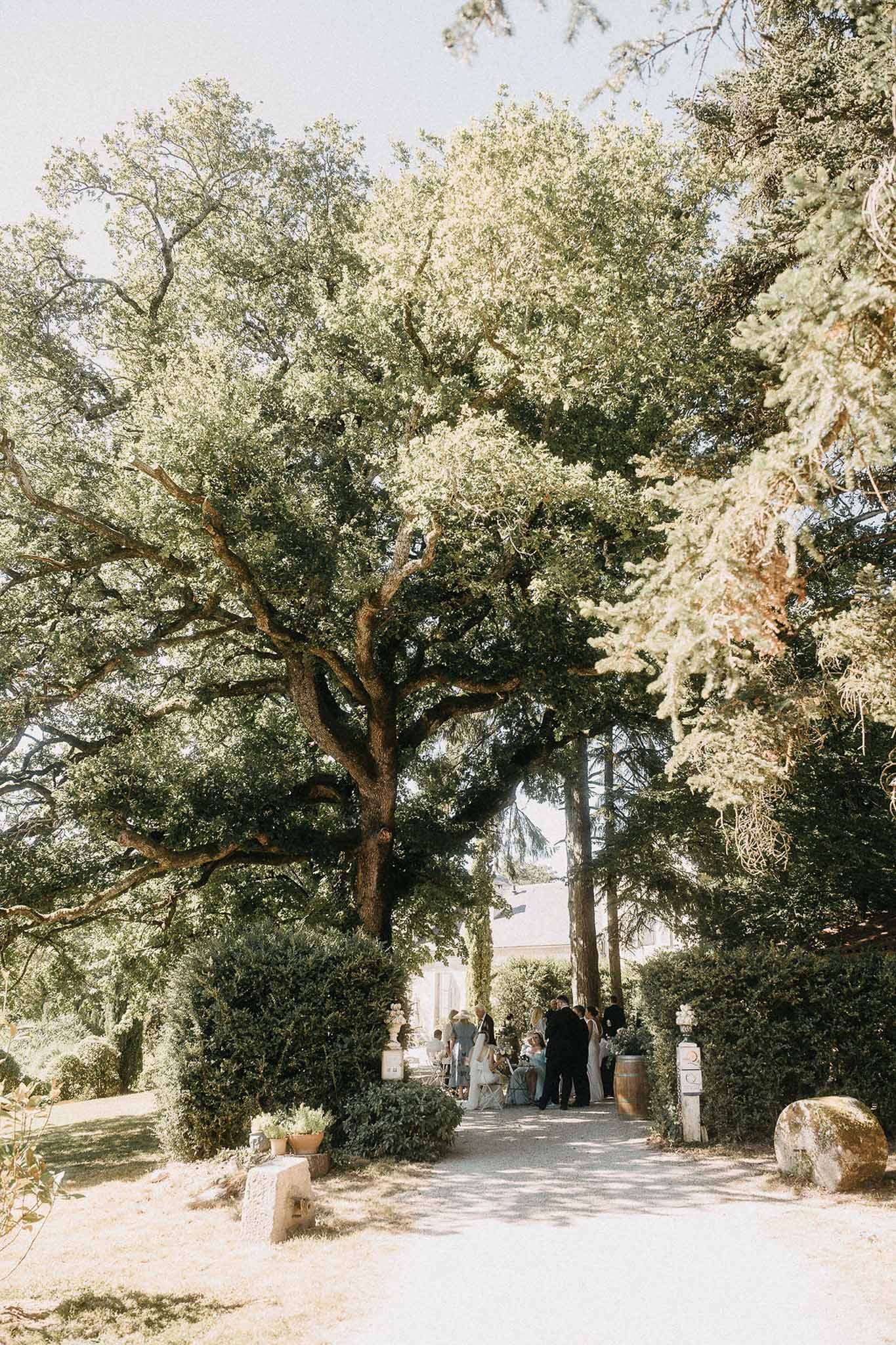Guests gathered on formal garden path beneath mature trees with hedges and stone pedestals at venue