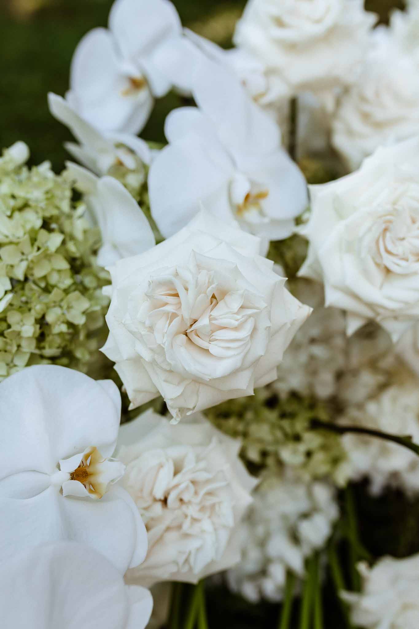 Close-up of white and cream floral arrangement with garden roses, orchids, and hydrangeas