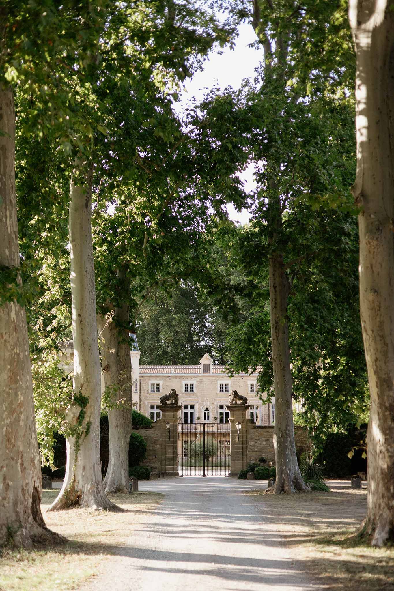 Plane tree-lined gravel driveway leading to honey-stone chateau with wrought-iron gates and lion finials
