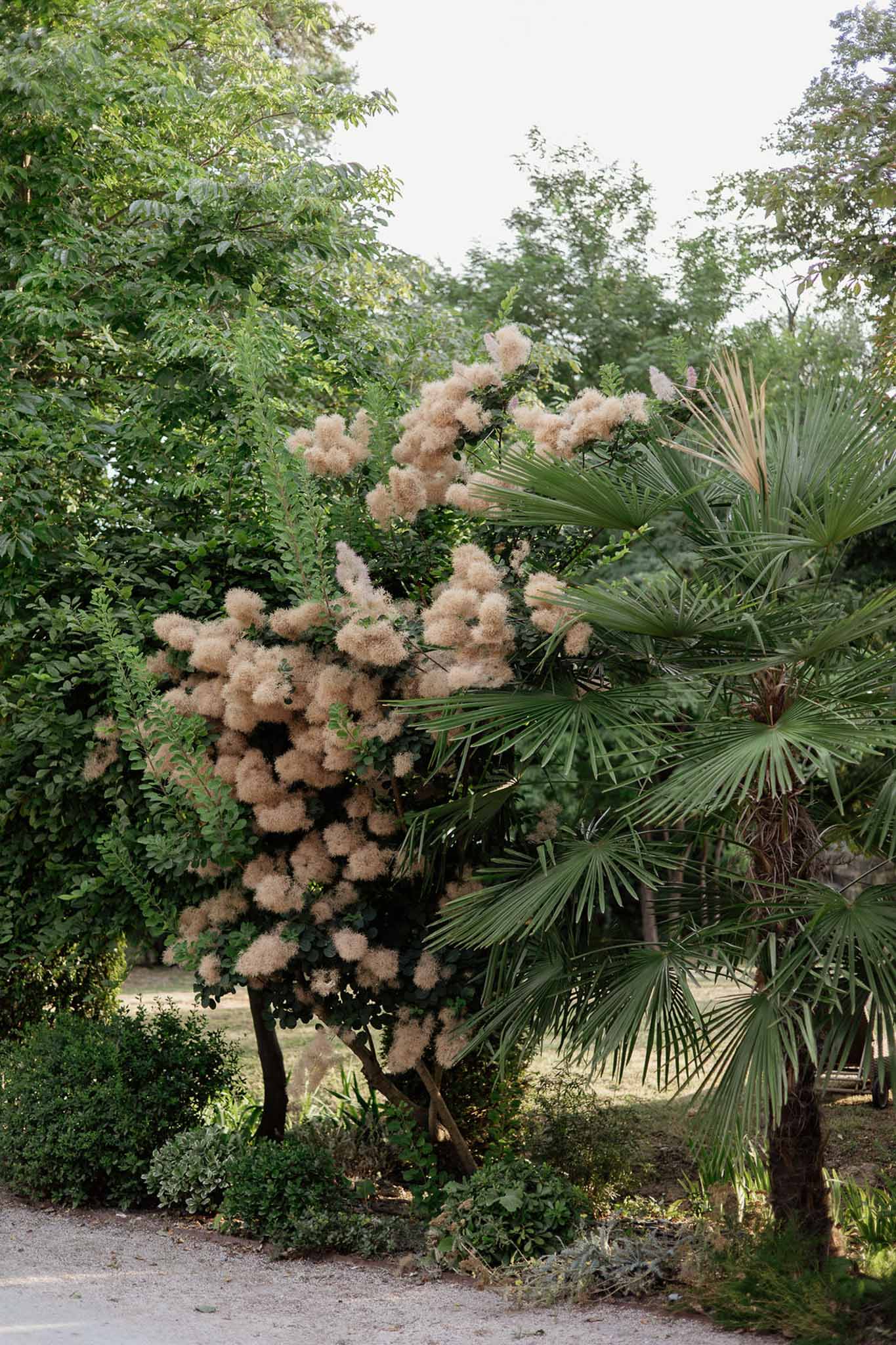 Wedding reception in a garden