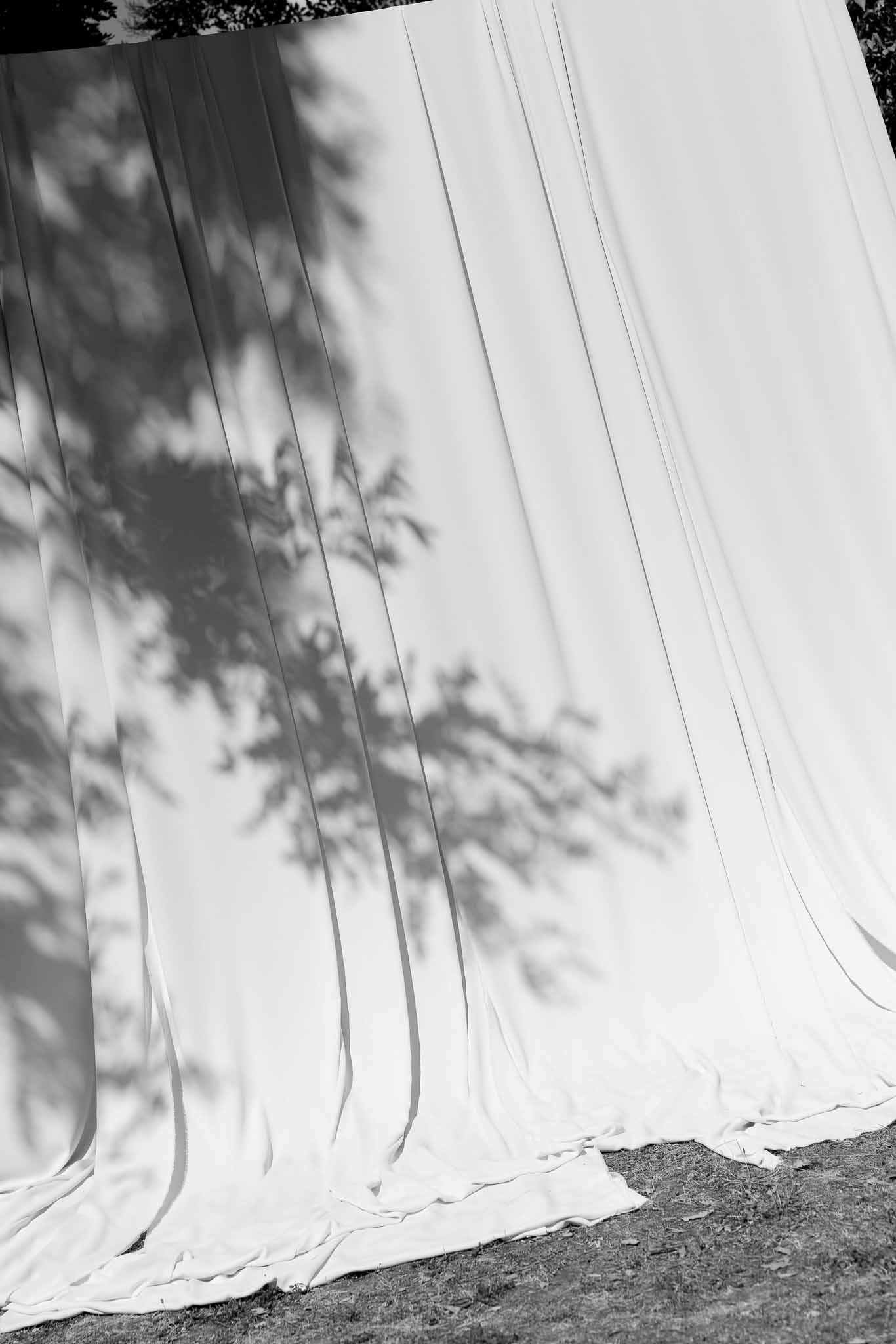 Black and white detail of white fabric draping panel with tree branch shadow cast across it