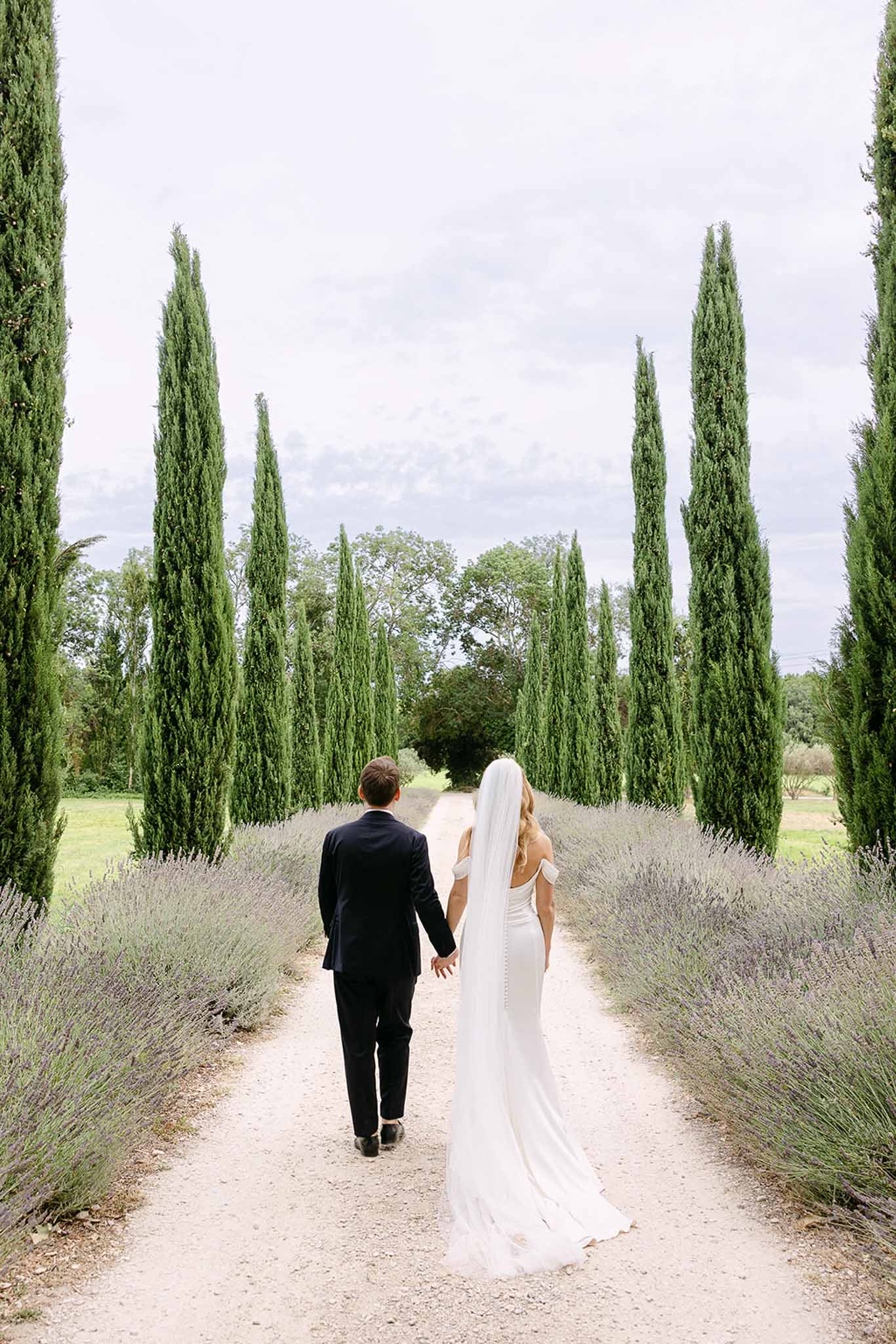 Bride and groom walking hand-in-hand from behind along lavender-lined cypress alley in southern France