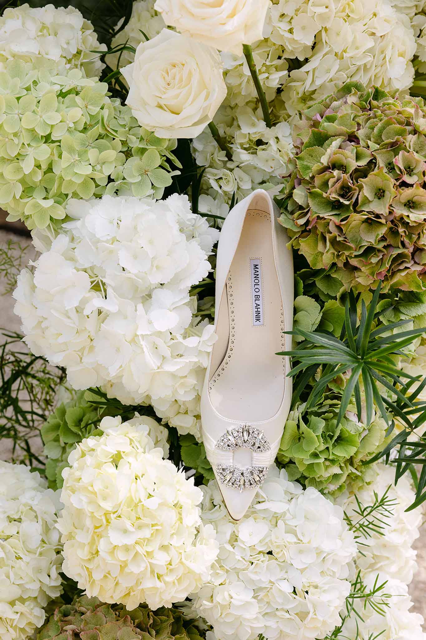 Ivory Manolo Blahnik flat with crystal buckle resting on bed of white and green hydrangeas and roses