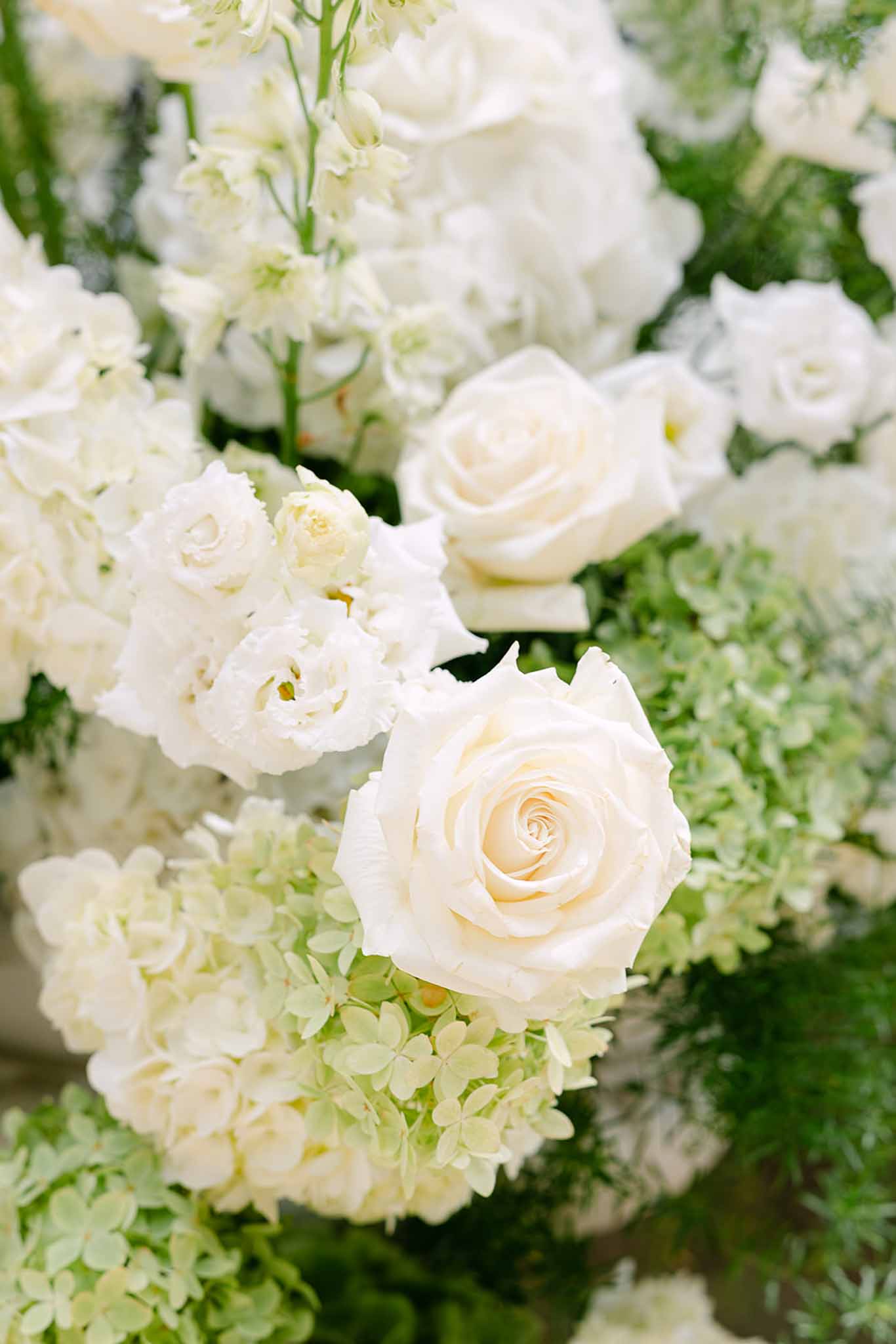Wedding rings with white roses