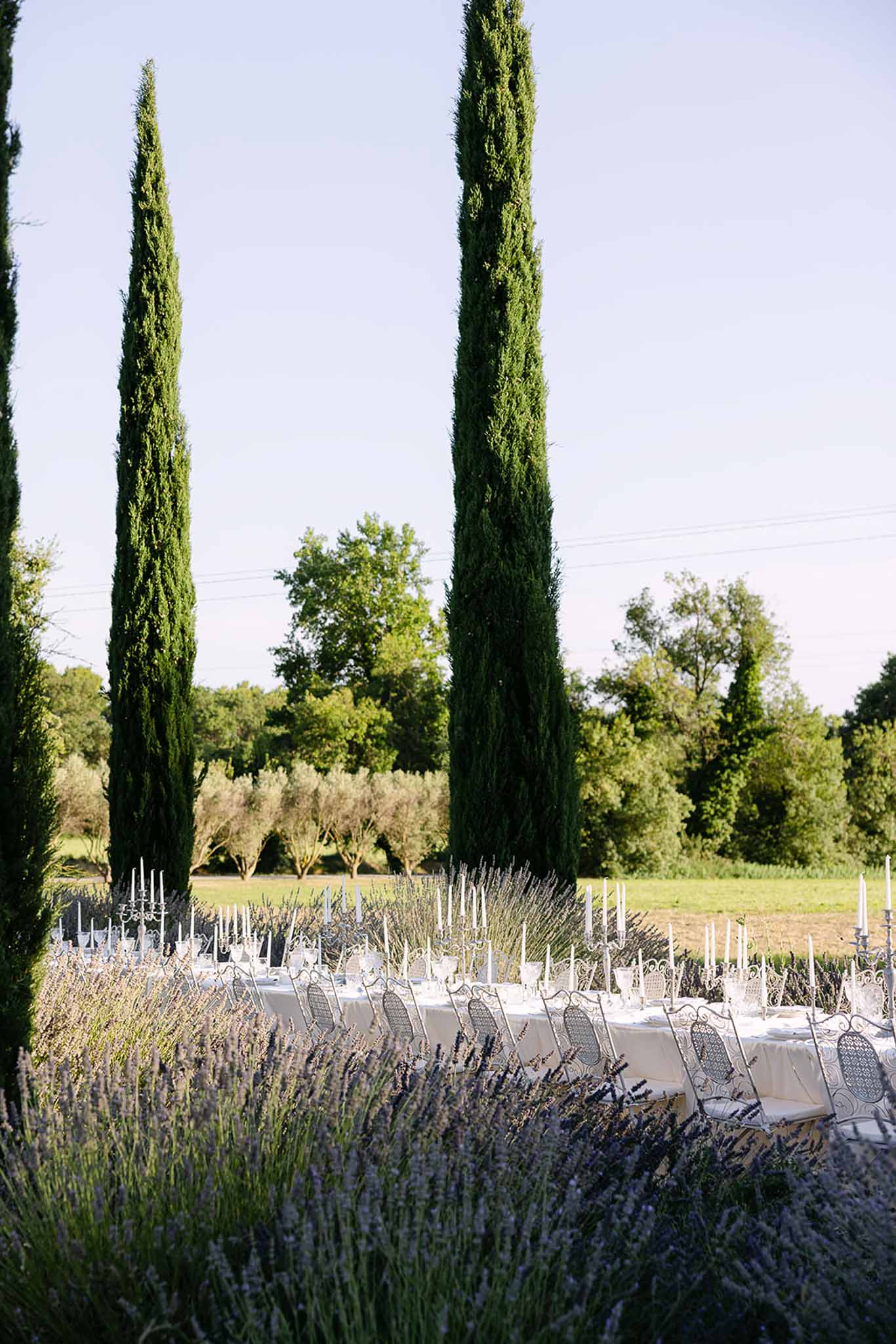 Long white banquet table with wrought-iron chairs set in a Provencal garden bordered by blooming lavender
