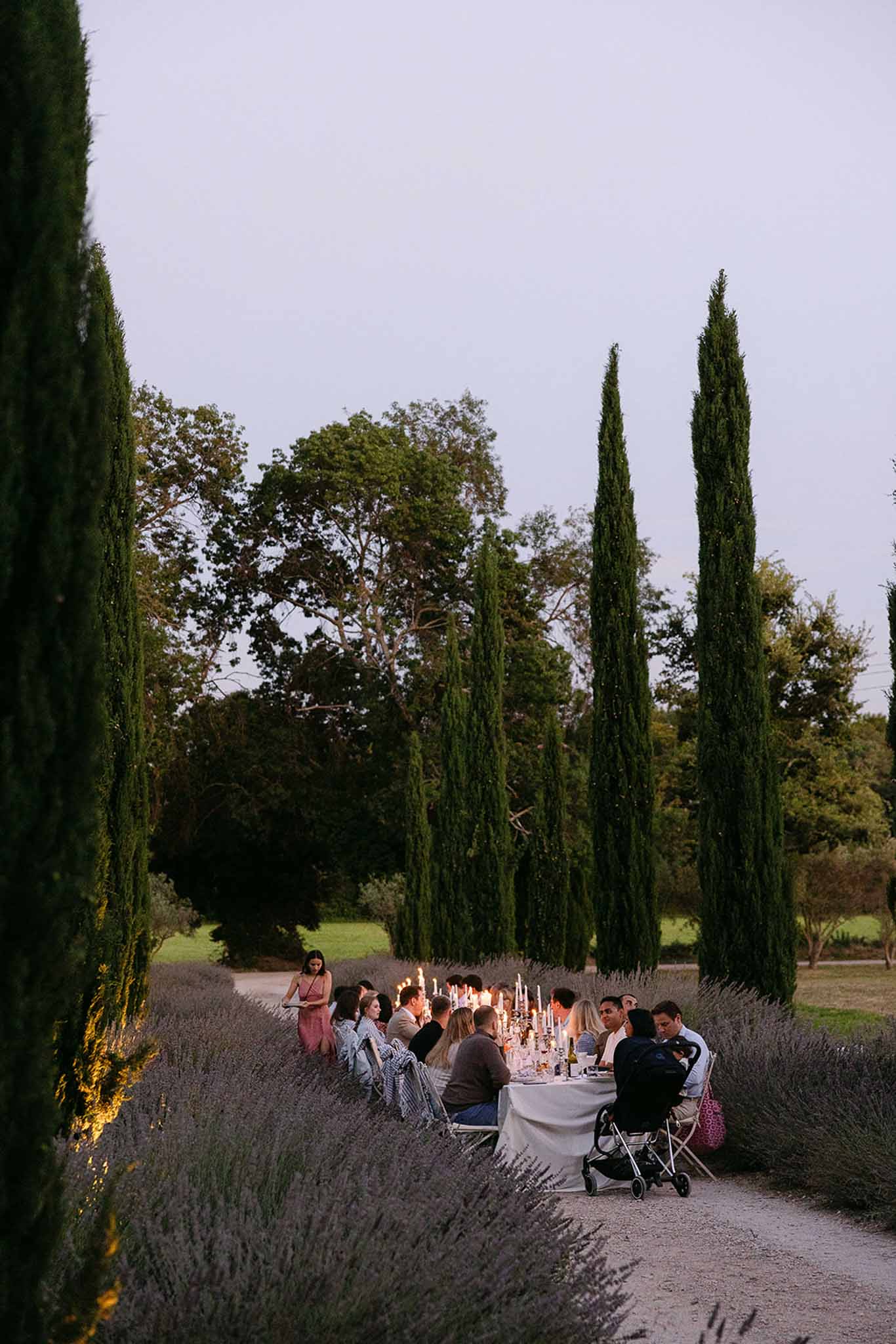 Outdoor reception dinner at dusk with guests seated at a candlelit table lined by lavender rows and cypress trees