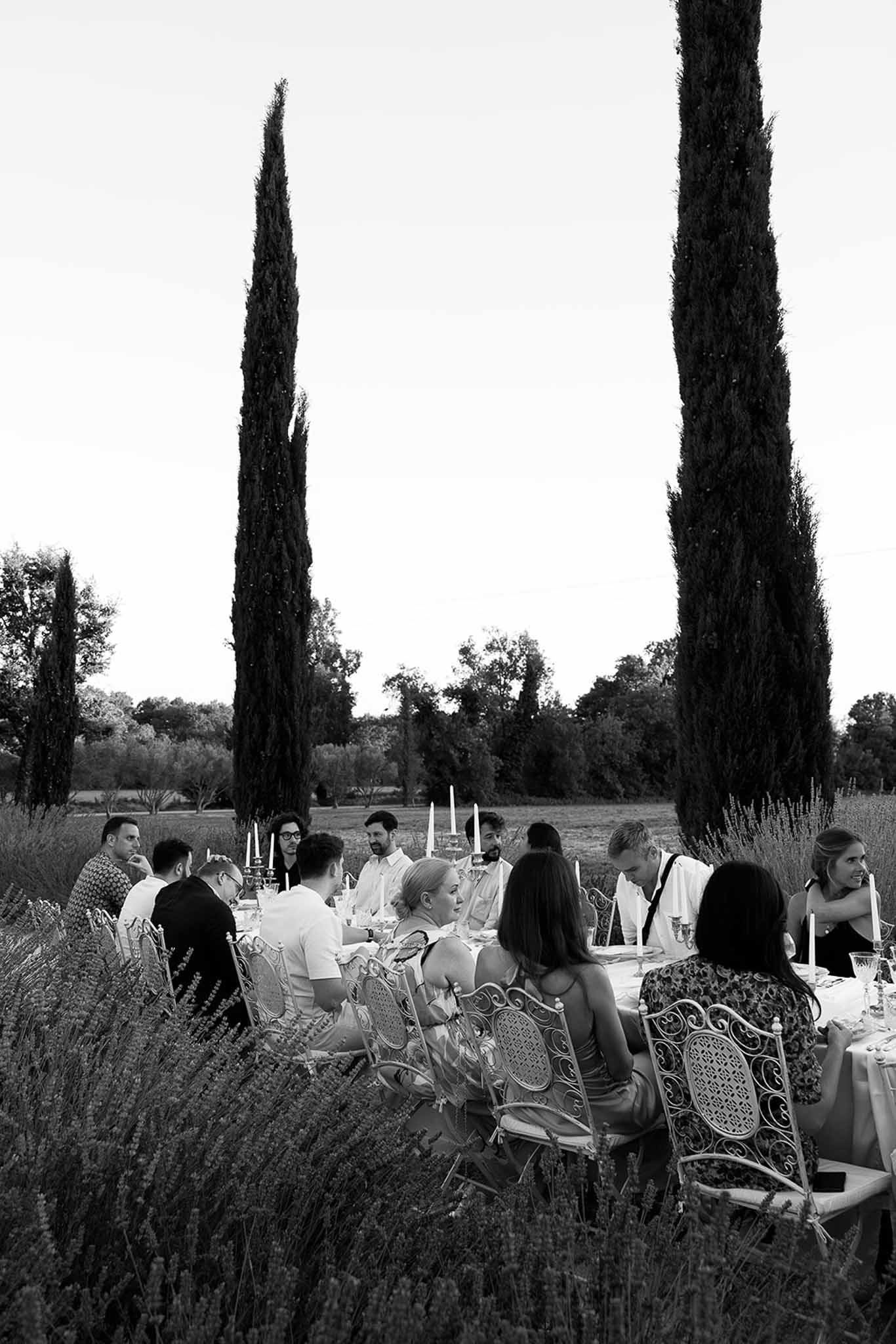 Black and white dinner for 15 at long table among lavender bushes with cypress trees and taper candles