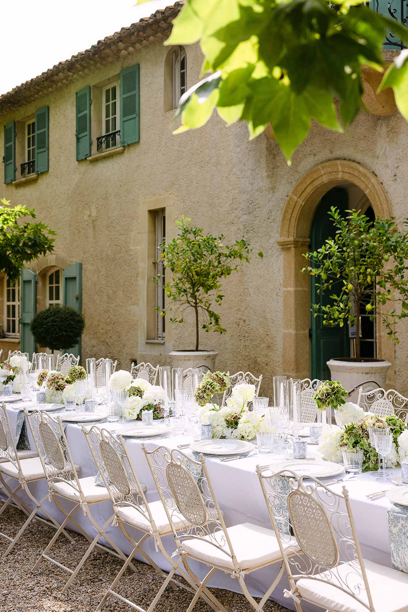 Provencal bastide courtyard with long table, hydrangea centerpieces, and citrus trees in white urns