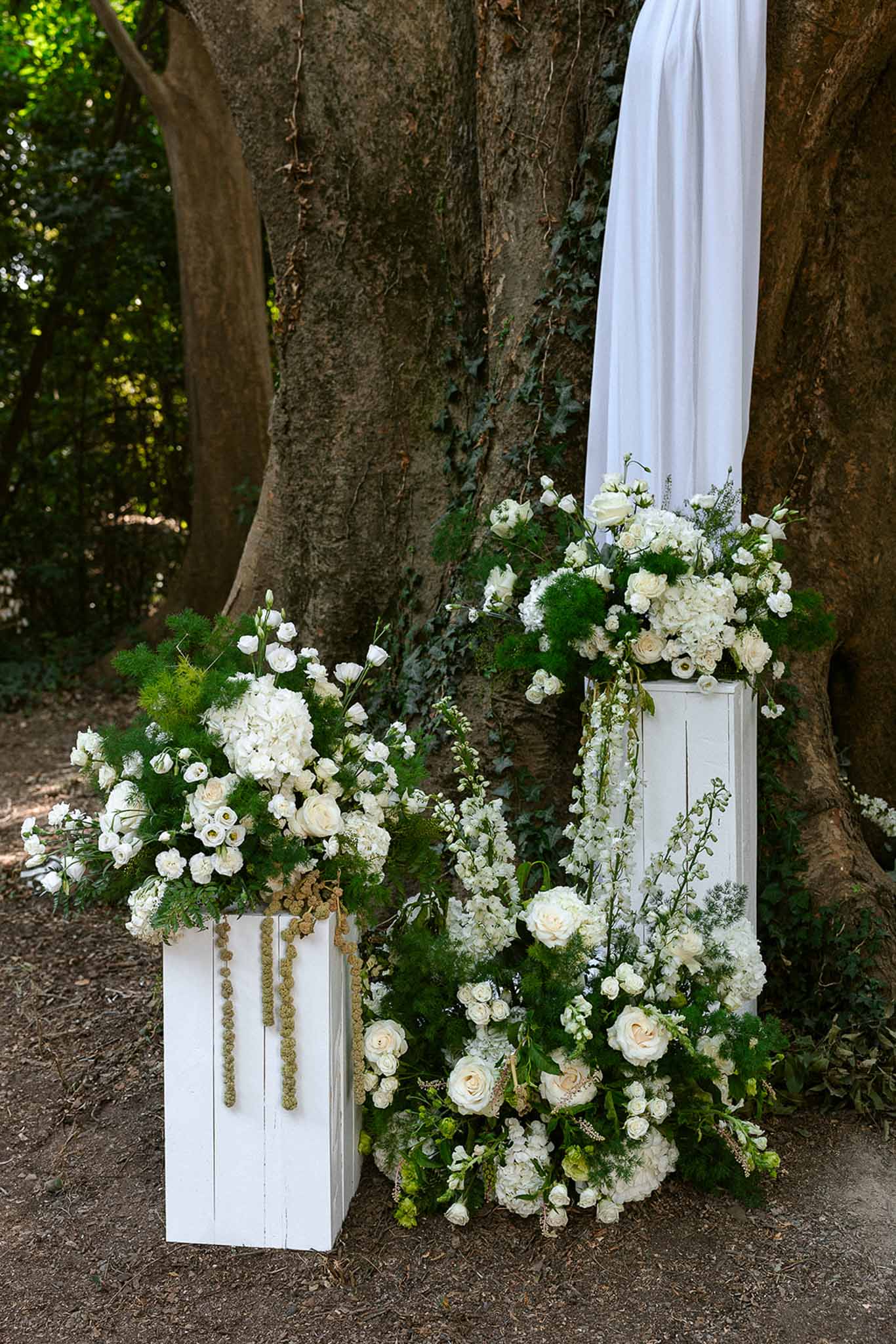 White rose and hydrangea ceremony pedestal arrangements with trailing gold amaranthus beside tree trunk