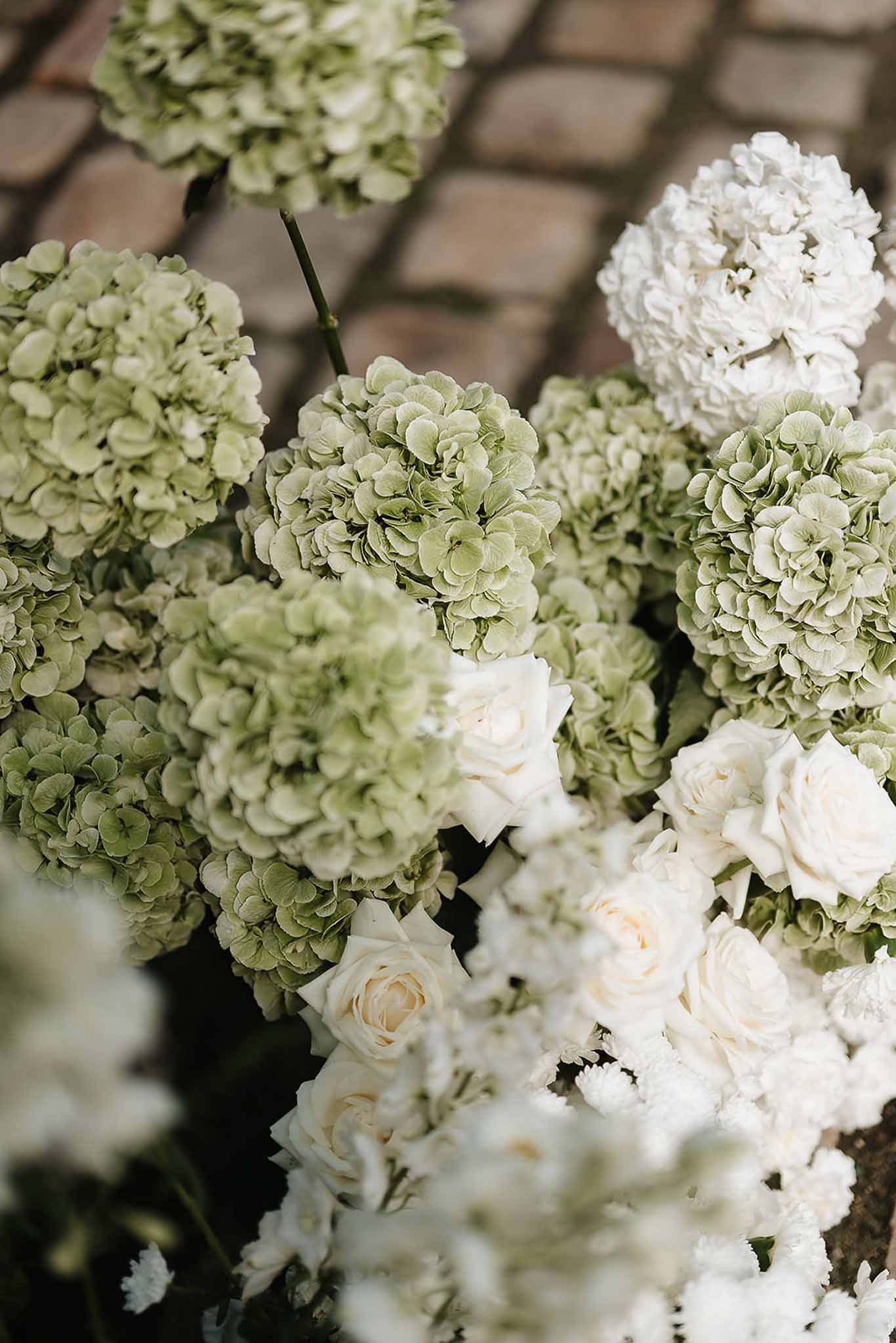 Close-up of green hydrangeas, cream garden roses, and white stock flowers on cobblestone surface