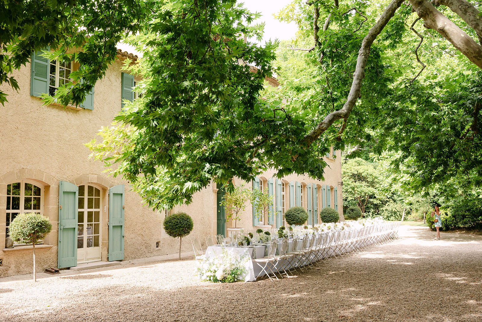 Lavender and White Roses at Domaine de Lamanon, Provence