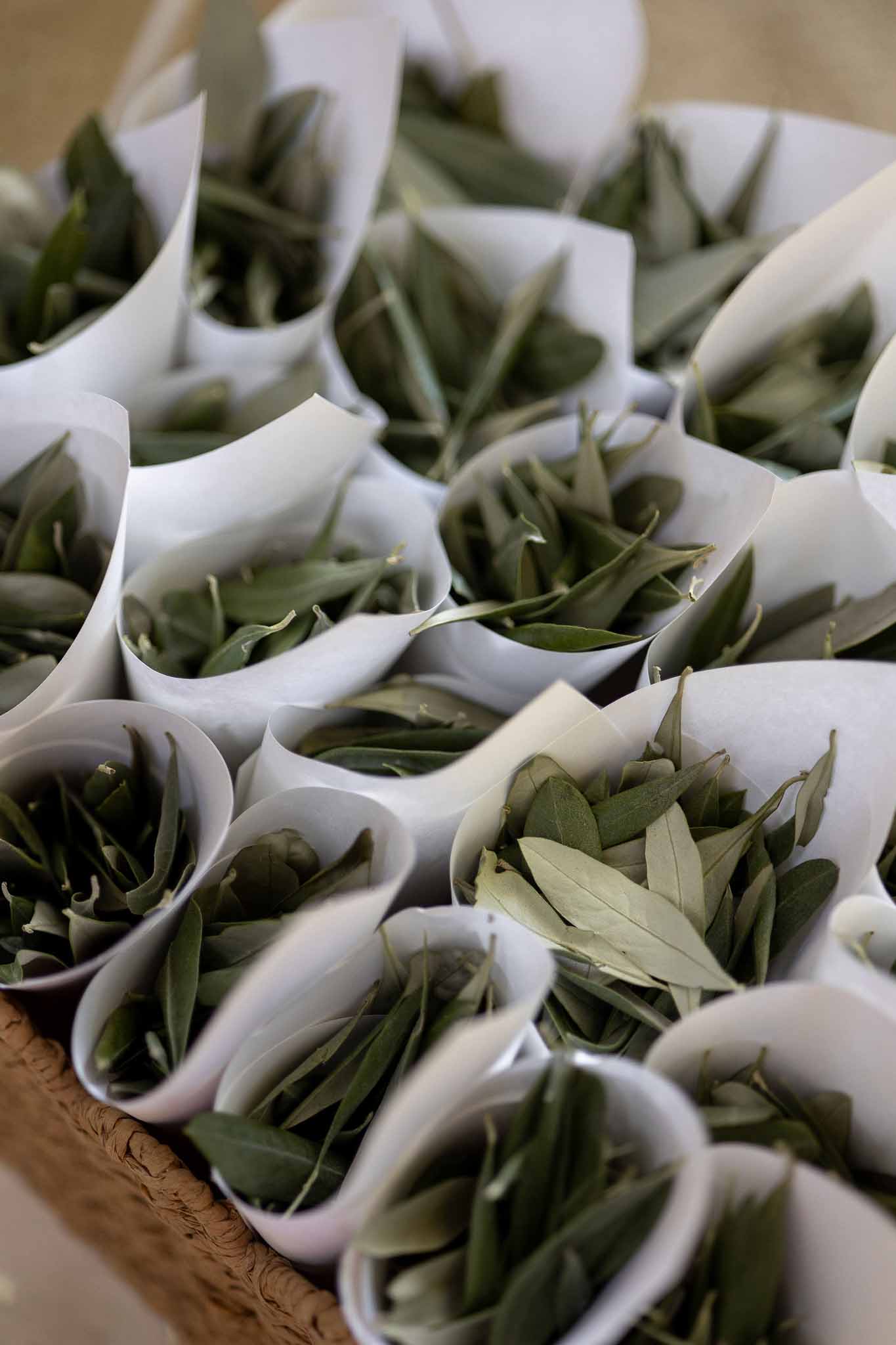 Close-up of paper cone filled with olive leaves for ceremony confetti toss