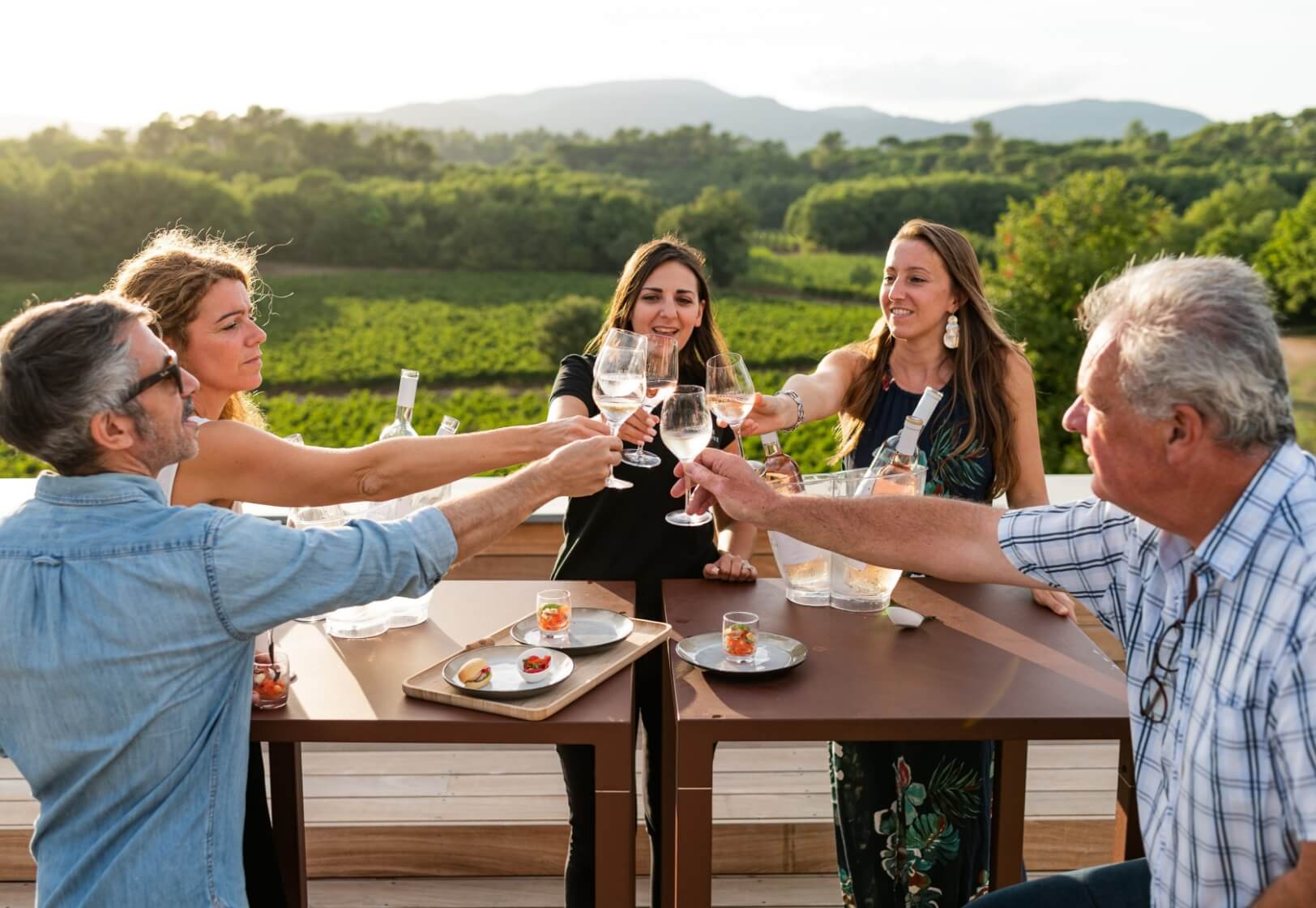 Domaine de Blacailloux aerial view of the estate and vineyards