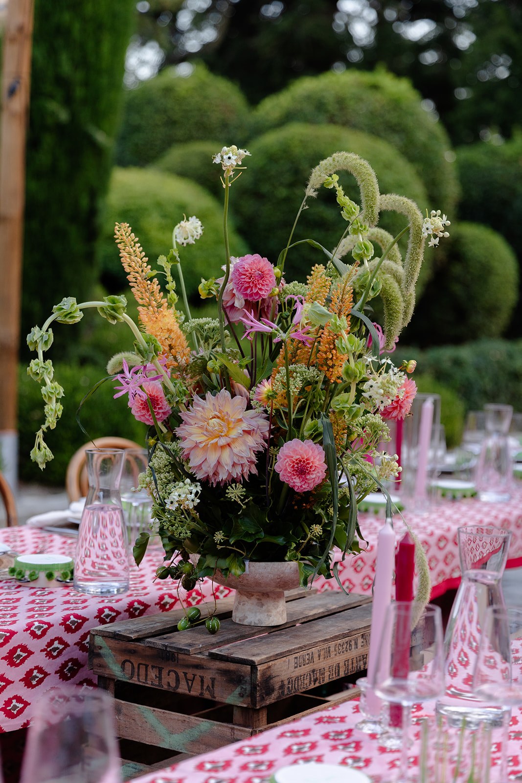 Alia Paienda portfolio 3